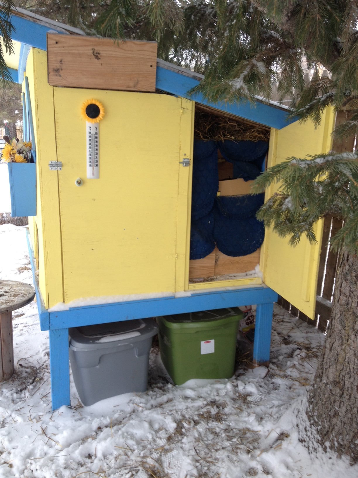Side doors for easy access to nest box and for cleaning.  Blocked and insulated for the deep winter (-26 F) though.  The vents are on both sides,one is uncovered, one the wood panel nailed up is an inch out from the opening for air movement.