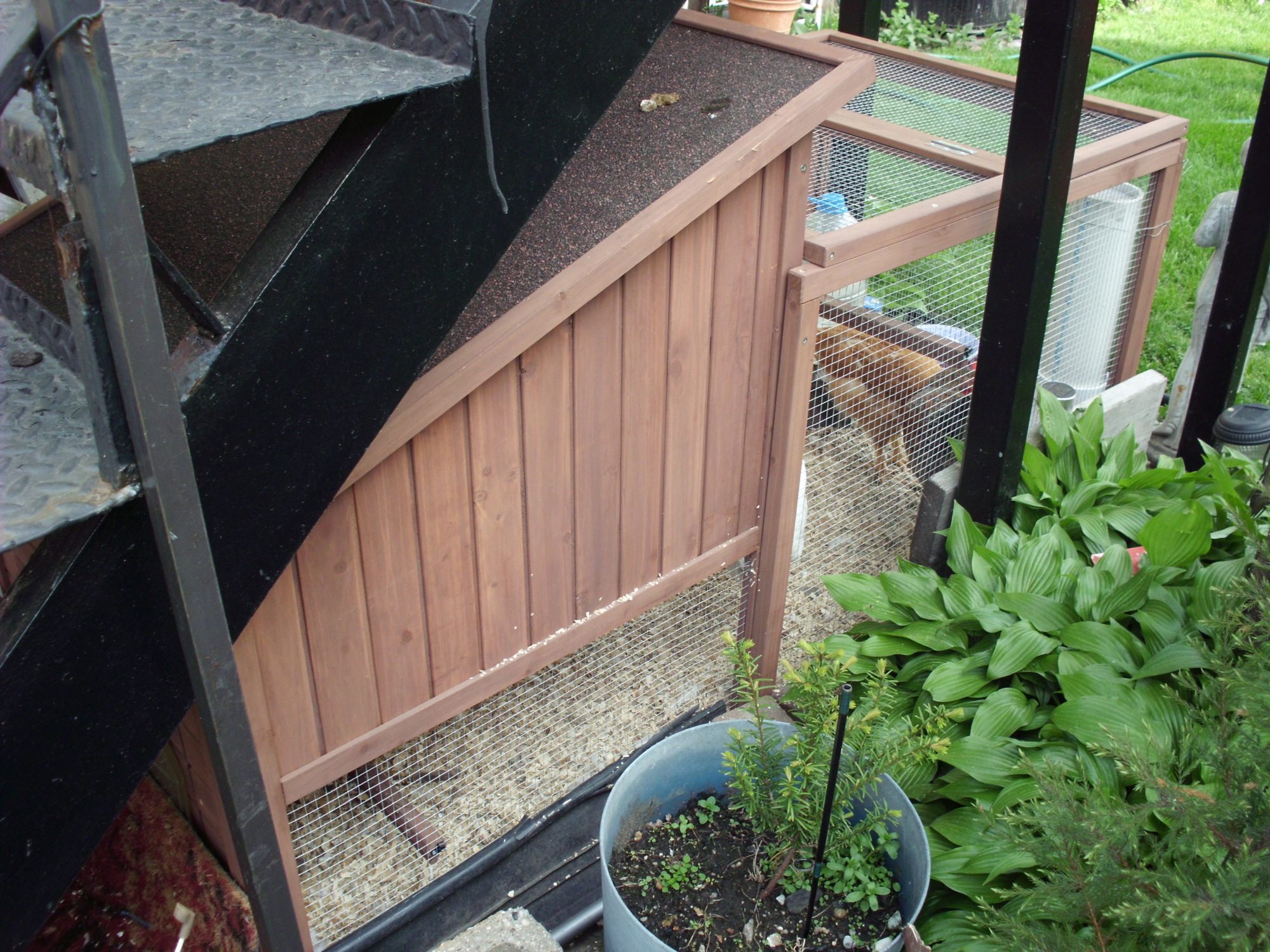 side of the coop and run under the stairs