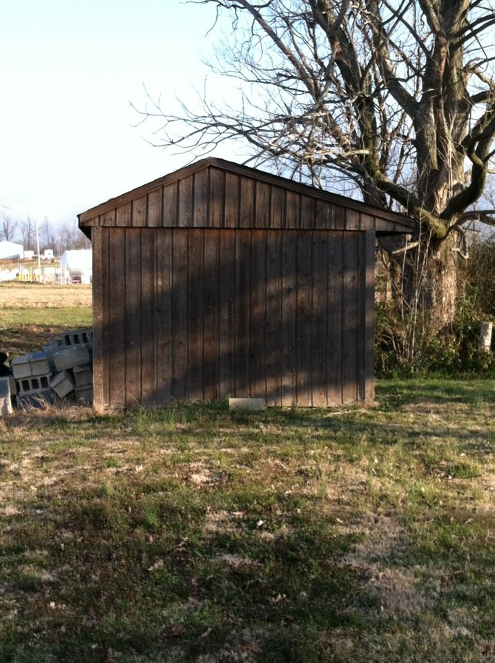 Side of the Shed