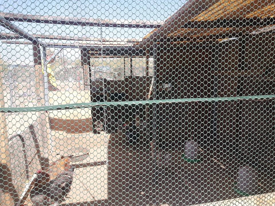 *
side view of my coop (kitchen area)