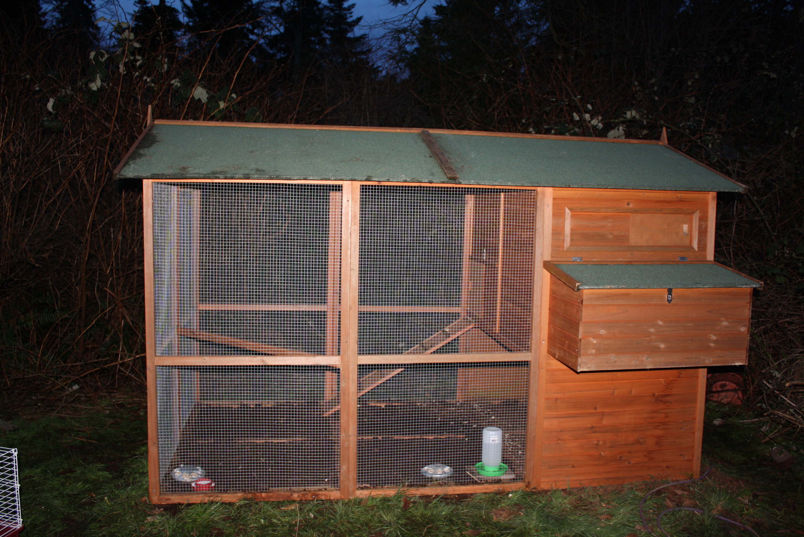 side view of our coop.