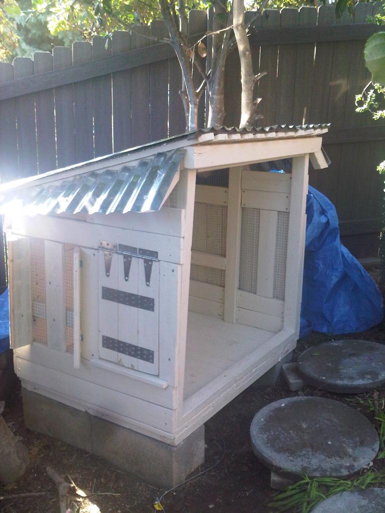 Sides and roof completed. You can see the pop door. The roof is fence slates the insulation on top of that and aluminum roofing on that. The litle side roop cover the ventilation opening on the sides.
