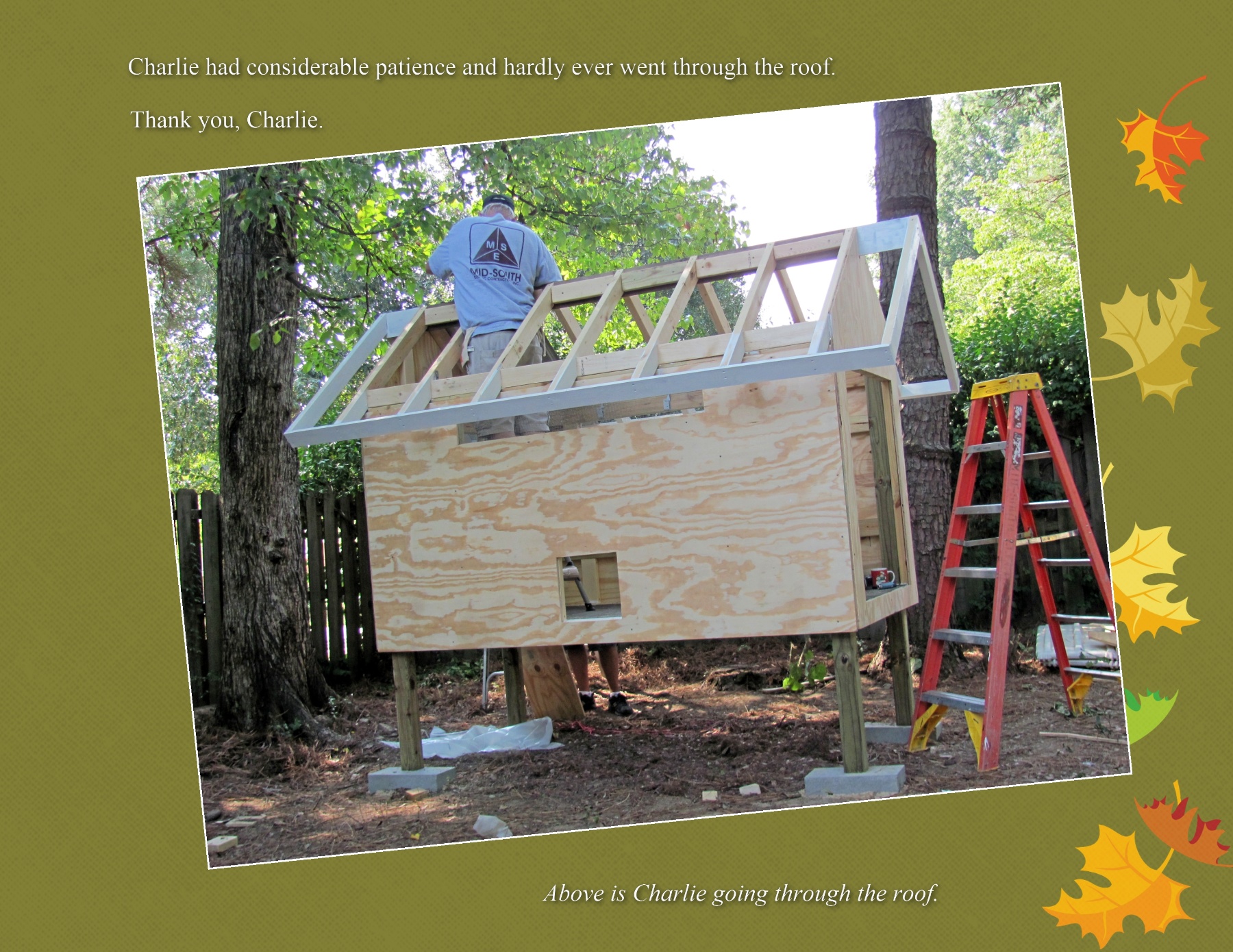 siding and roof timbers are on.
