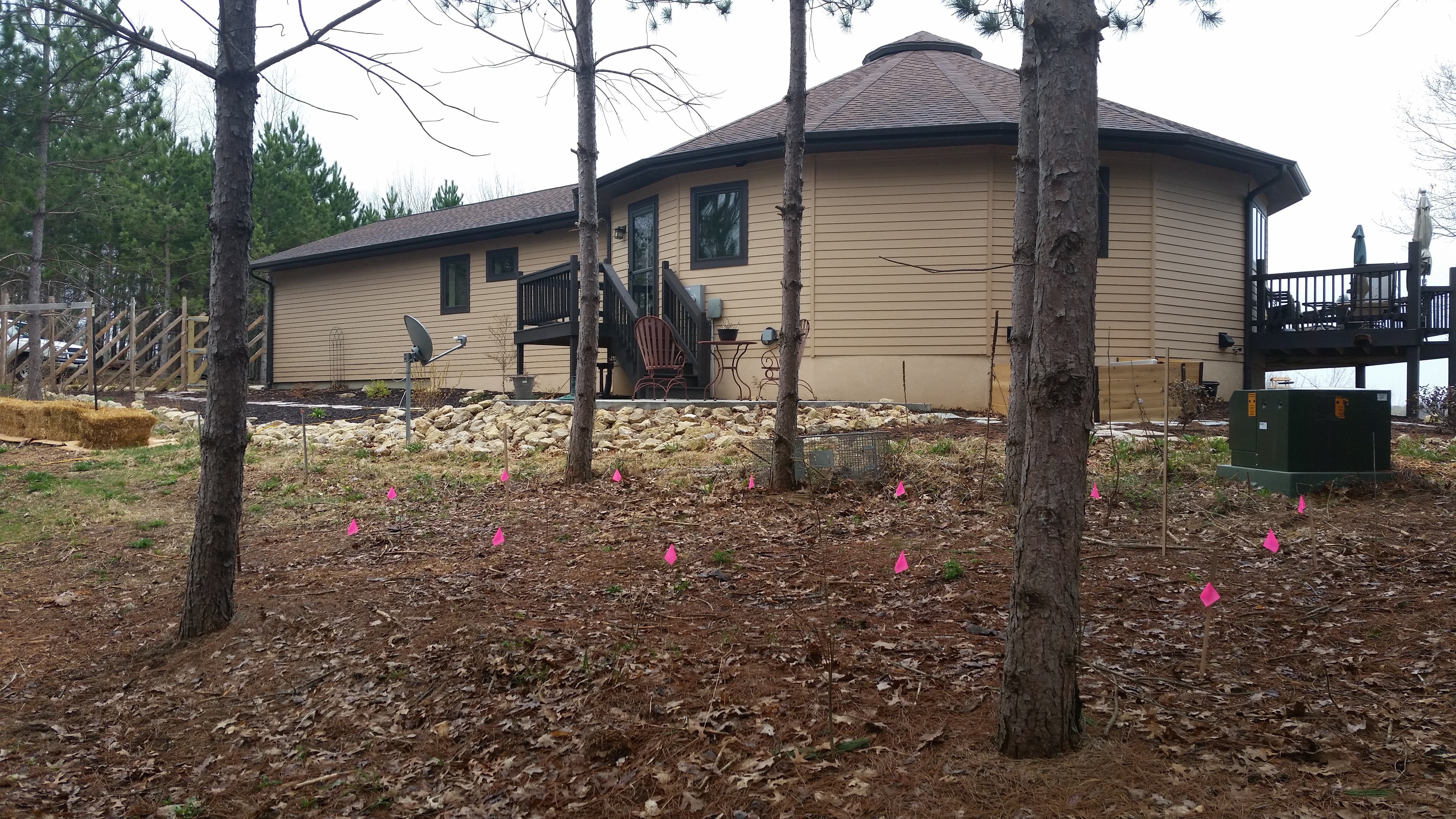 Sighting for the new coop location.  We wanted it to be convenient, but not too close.  The location is about 75% shaded by the pines in the summer, but with the low branches trimmed as they are, the whole coop and run are largely bathed in sunlight in the winter.