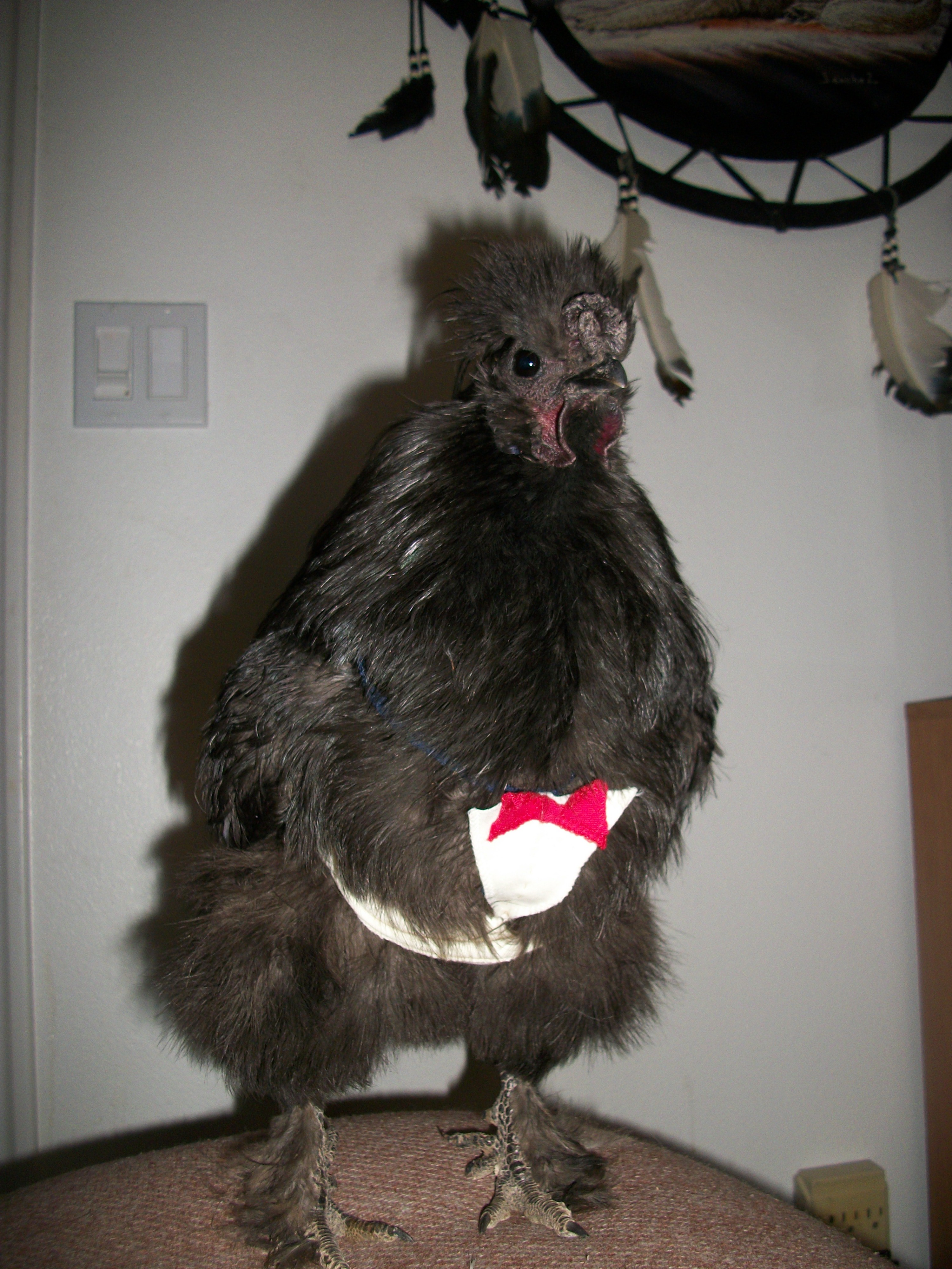 Silk-Silk DO NOT COPY!