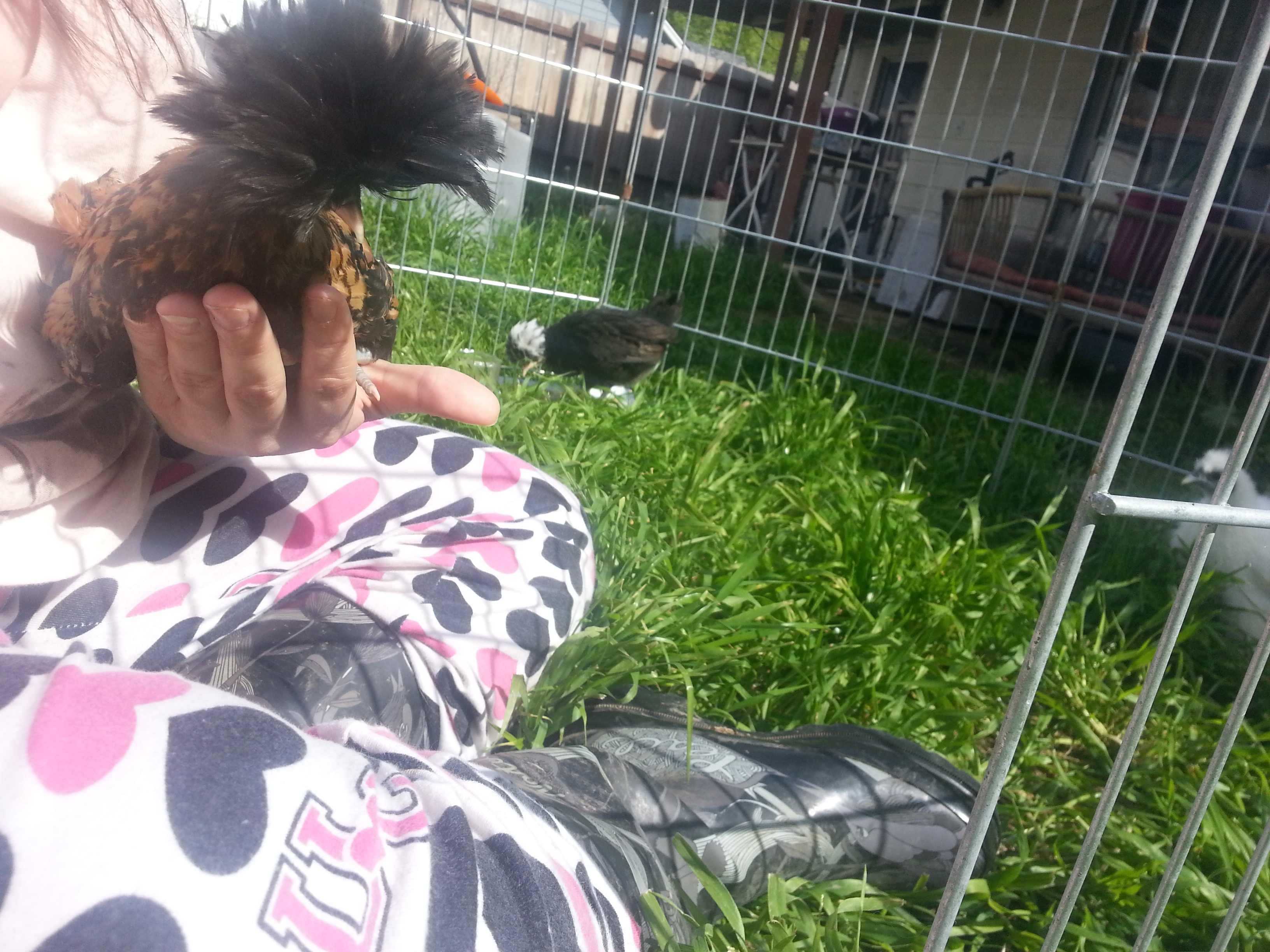 Silly bird.