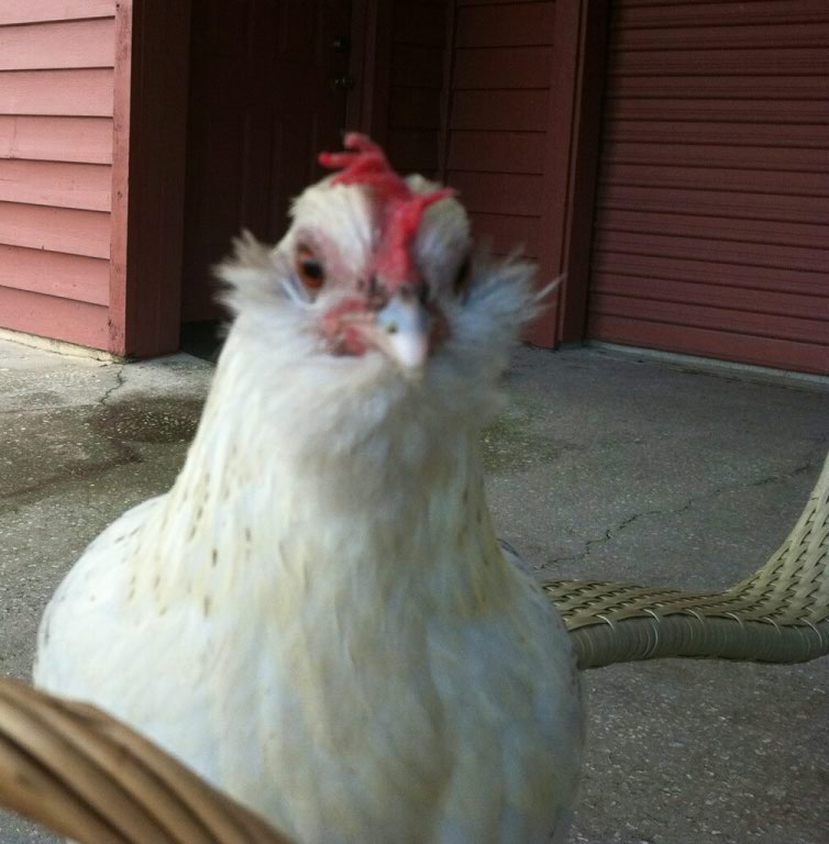 Sissy is ready for fun.