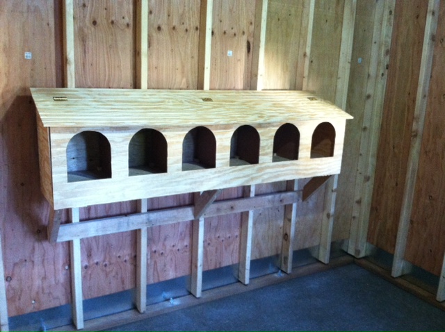 six 12" x 12" nesting boxes on the back wall, I have since installed a roost on the front so the girls can get in and out a bit easier.  Just below the far right box, I made the opening for the run.  I'll have to get a picture up soon.