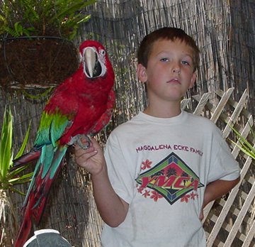 Skipper, same day in '06