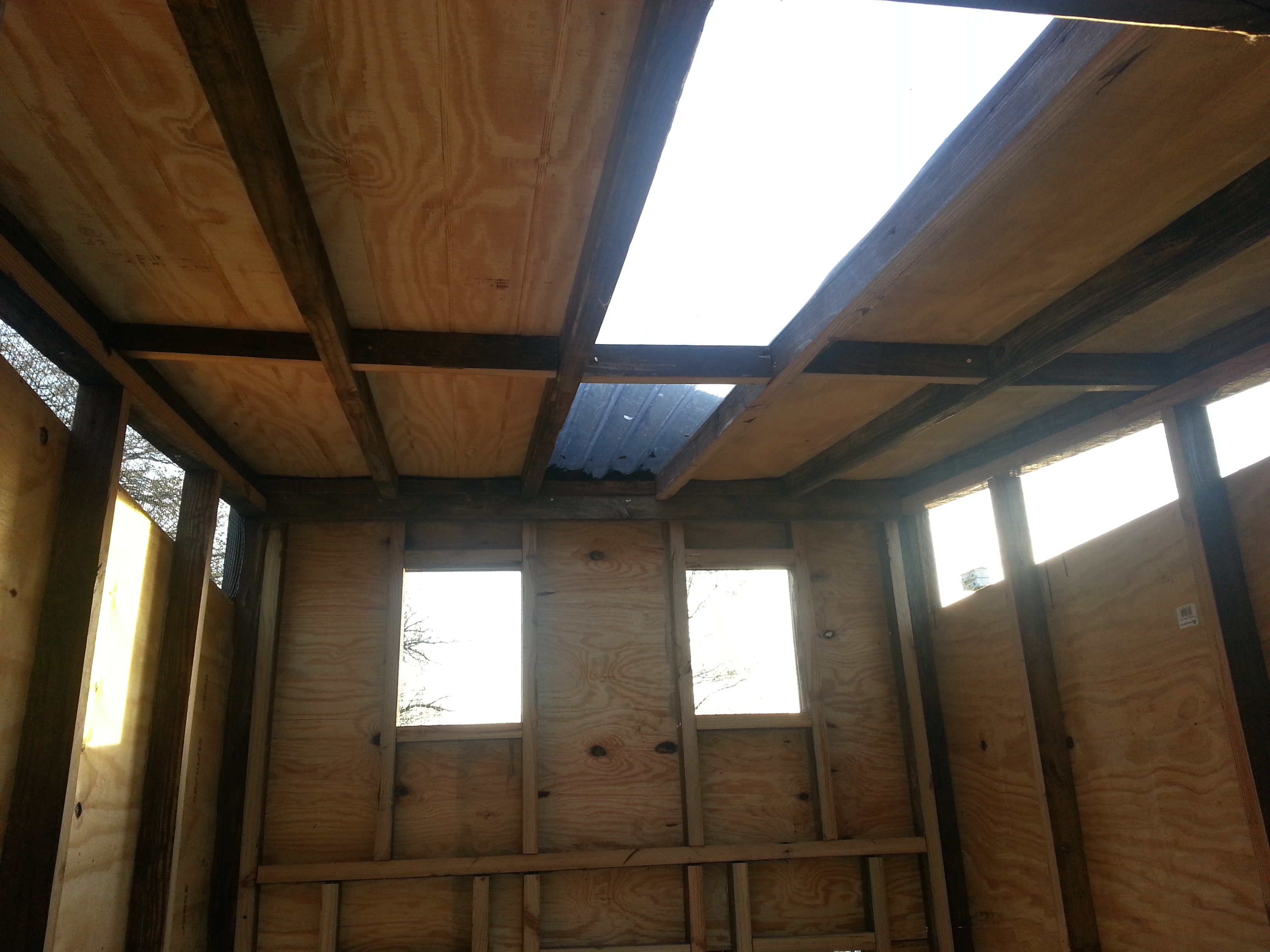 Skylight for letting light in.  With the direction the coop is oriented, they should be getting maximum daylight exposure.  The ventilation is situated under the tin overhang, the windows and door at the front and above the wall at the back.