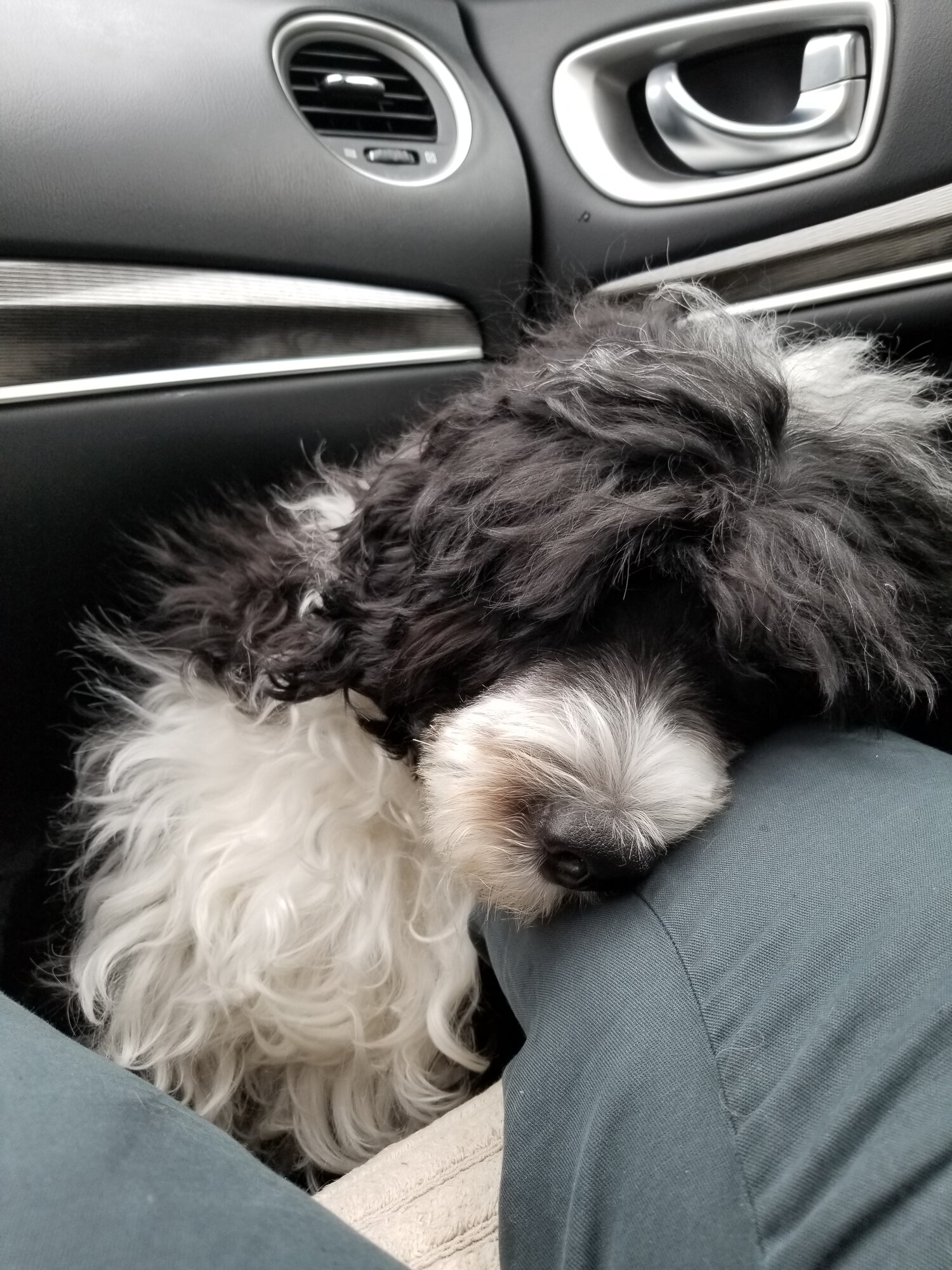 Sleeping almost all the way to Texas!