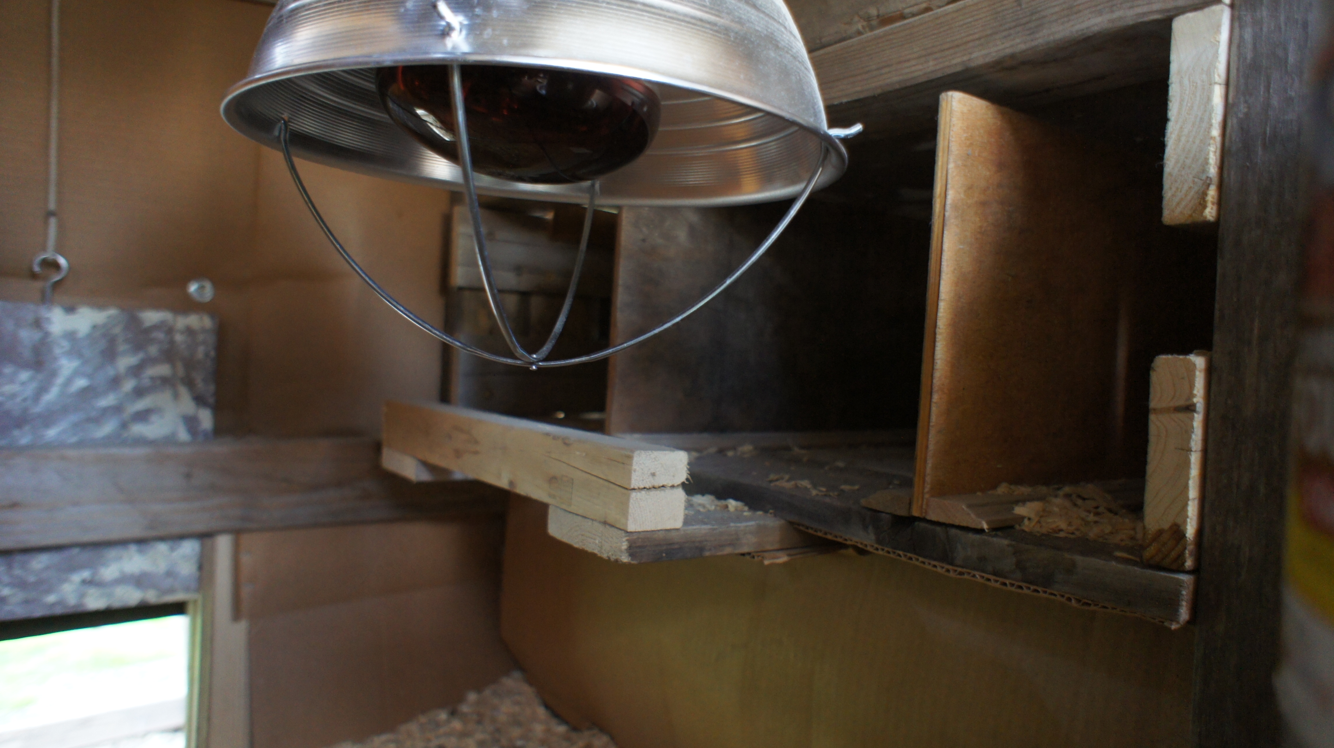 Sliding door and hanging heat lamp.  Little roost to make it easier to get into the nesting box.