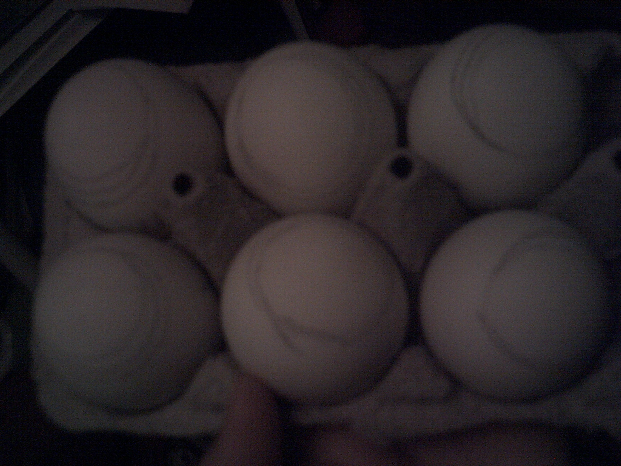small air cells? too small for duck egg's?