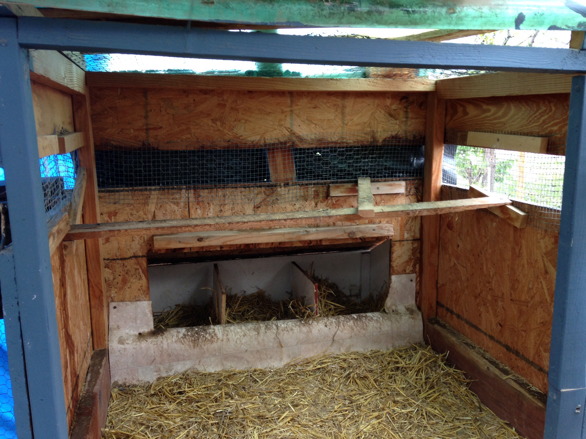 Small coop will be set up as a brooder for our 1 1/2 week old chicks. They will be moved this week to the coop.