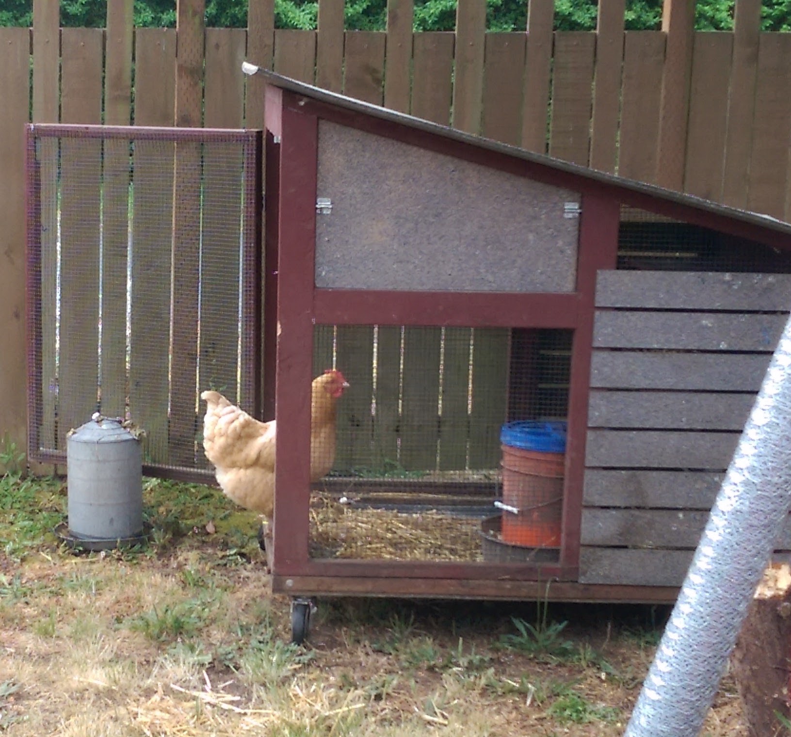 small for 6 birds - but free and weather resistant materials