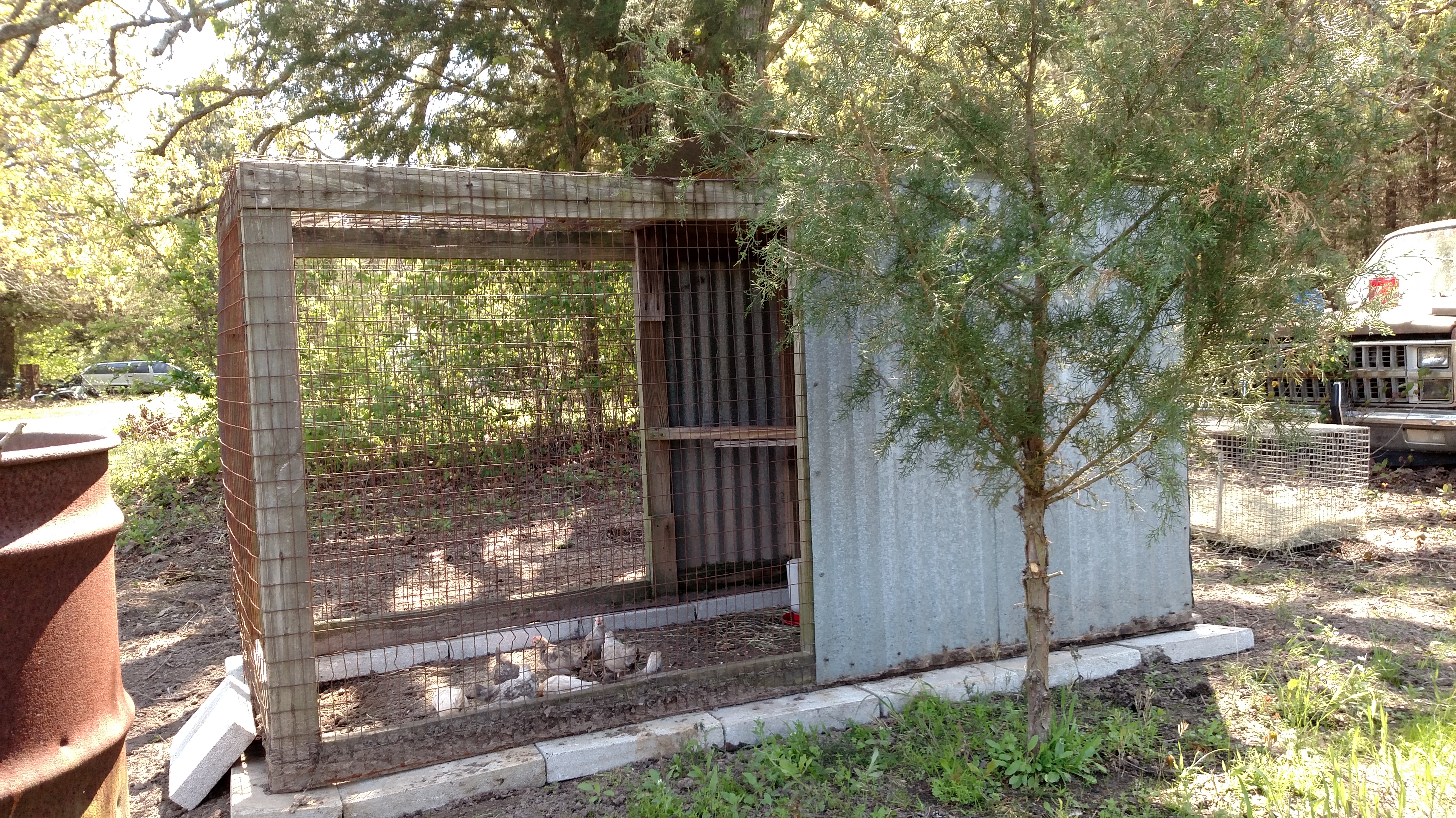 Small, simple and over 10 years old.  Home made chicken coop.  My closest friend that I took the gold & silver fawn duckwings bantams to renewed and spruced up old coop for new babies.  I really like the little coop.  I would call it a utility coop.