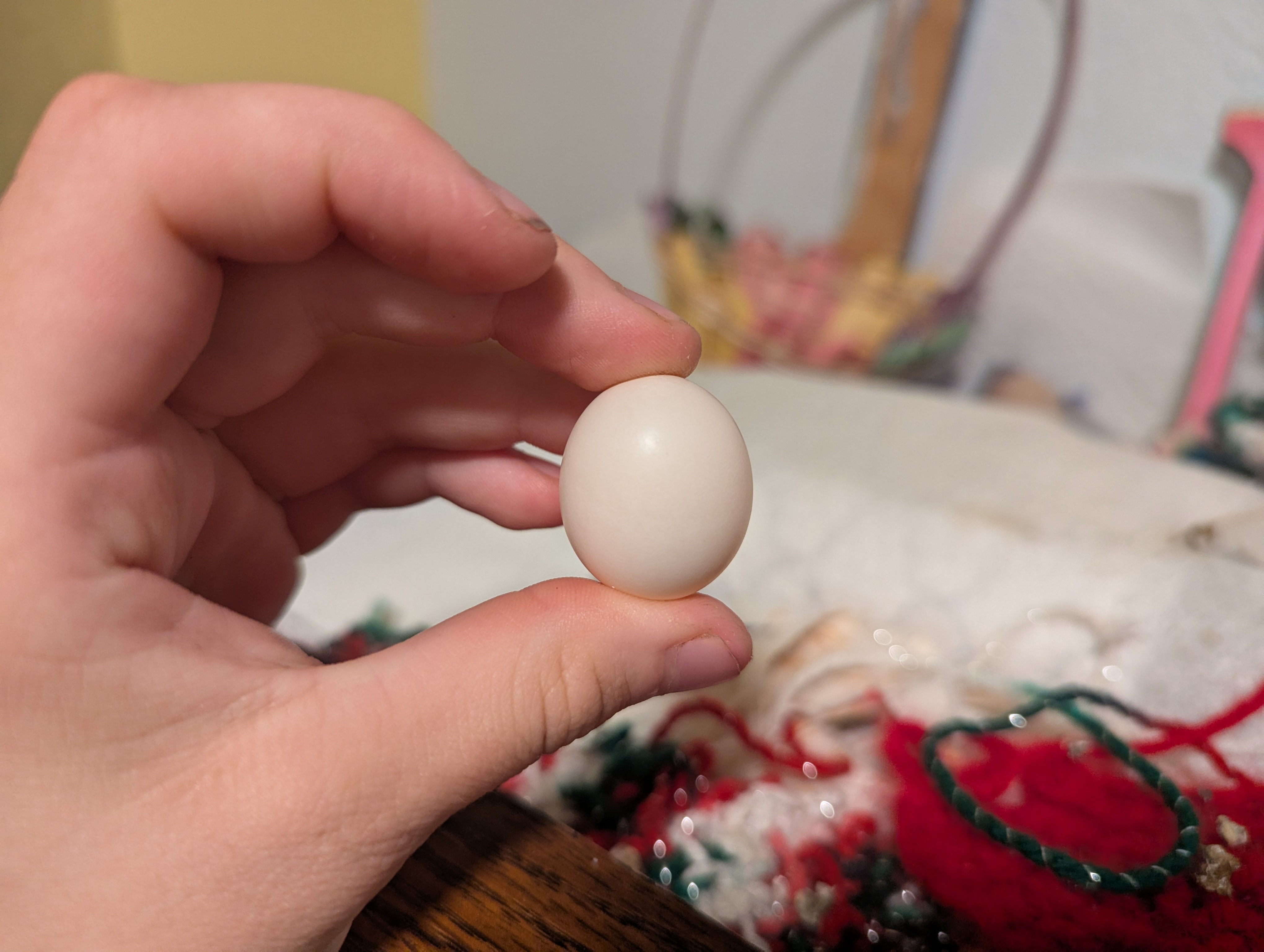 Smarty's egg