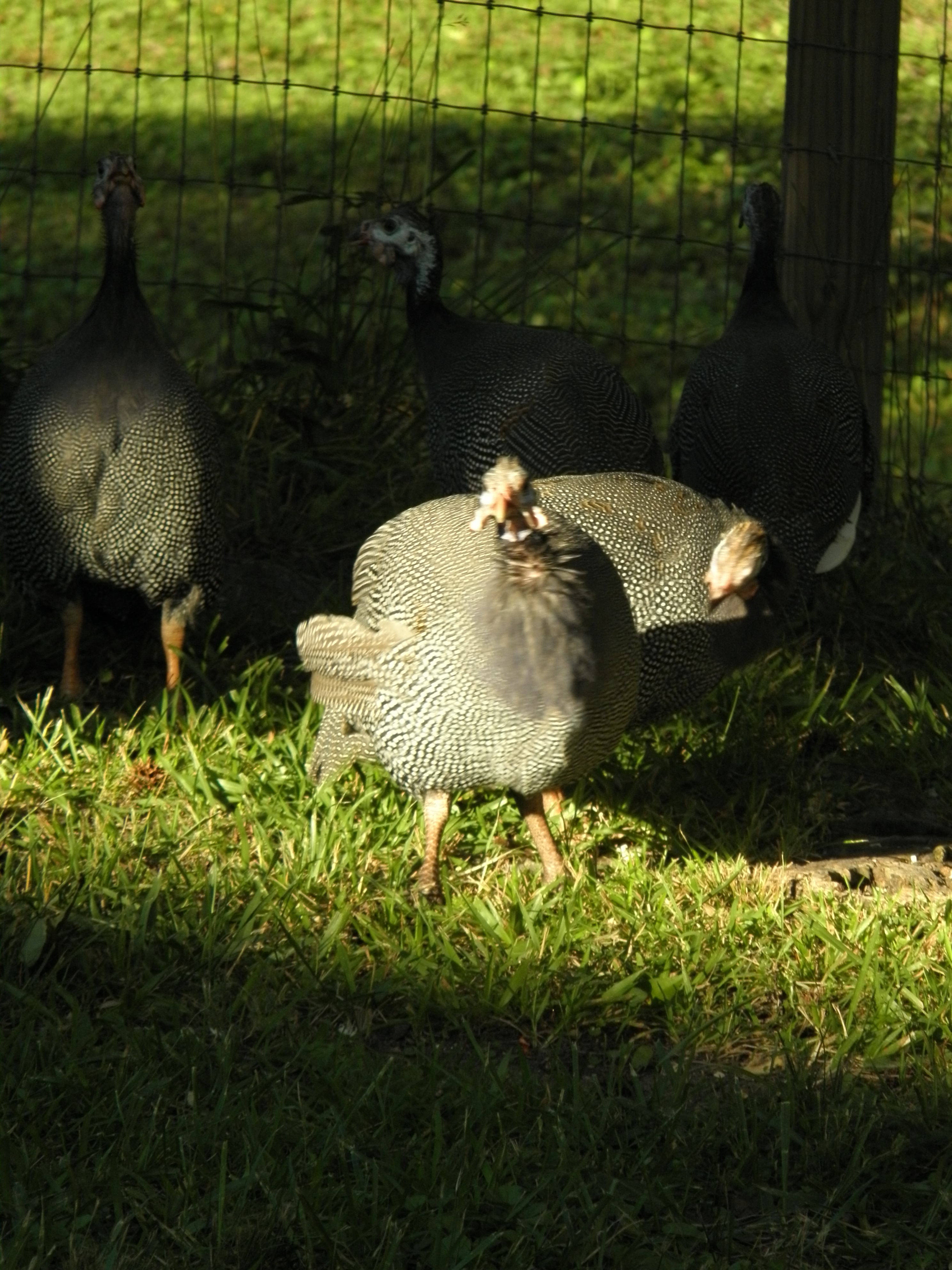 Smile for the camera!