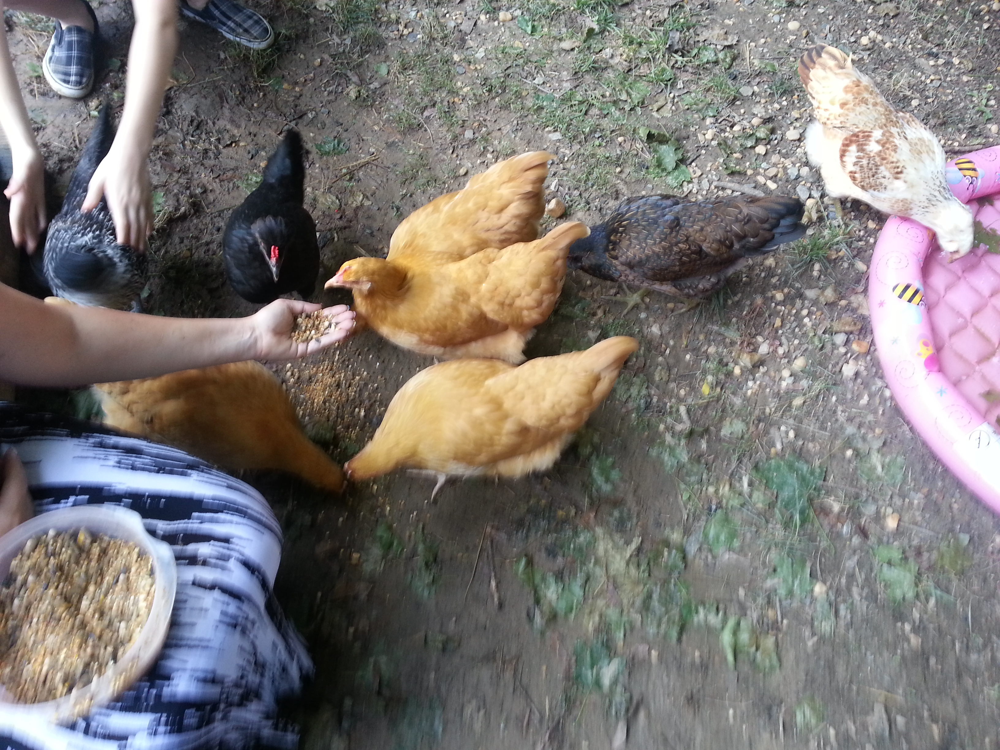 Snack time