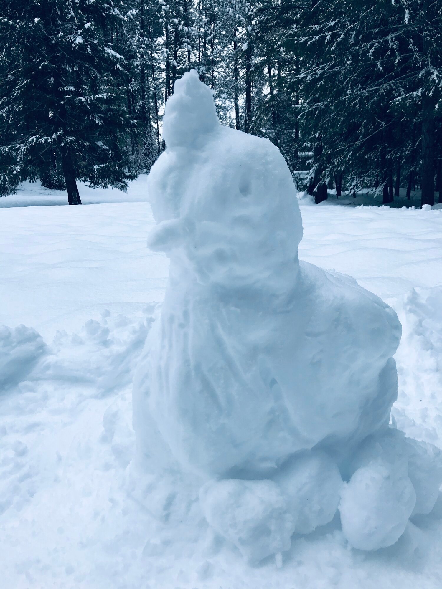 Snow Chicken.jpeg