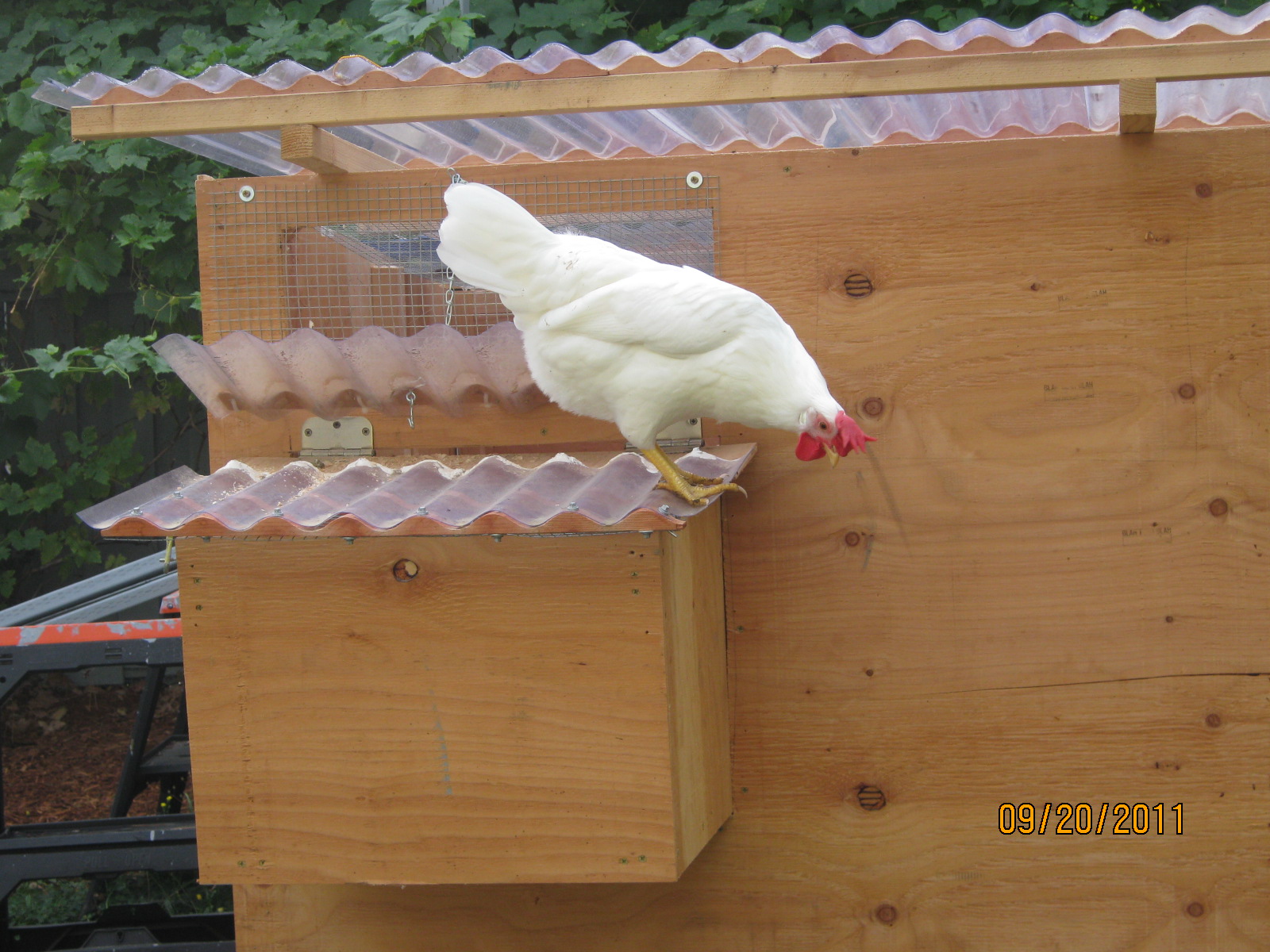 Snow on the nesting box