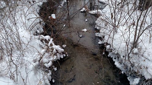 Snowy river