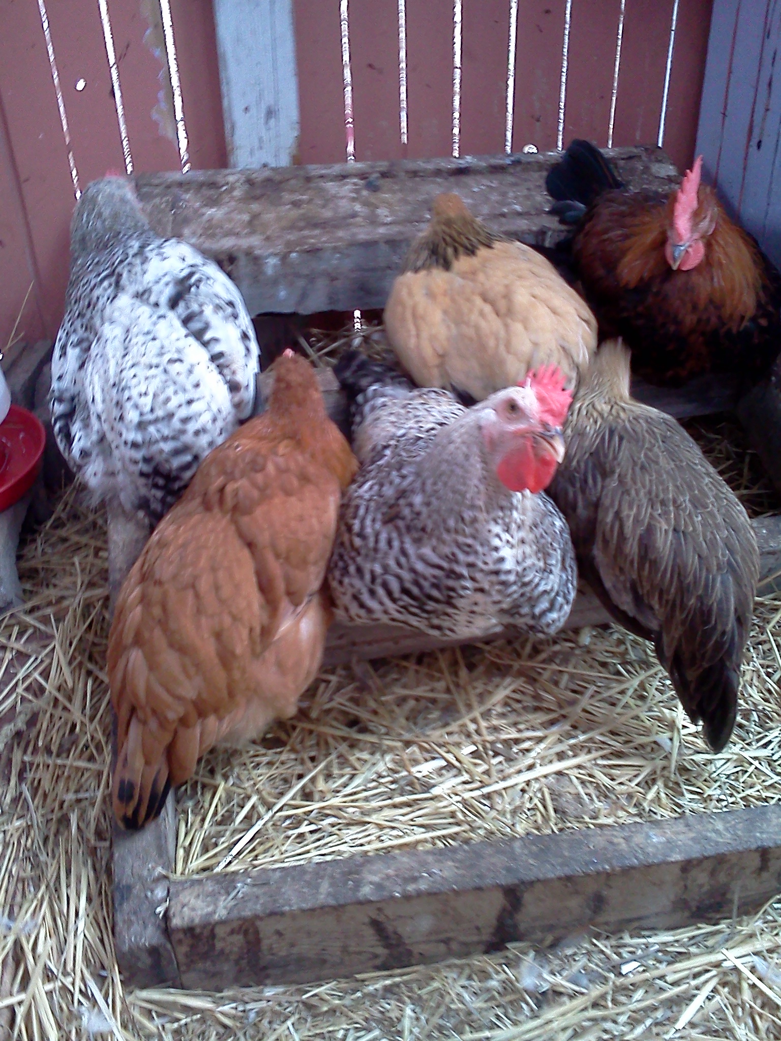 Snuggle time while its raining