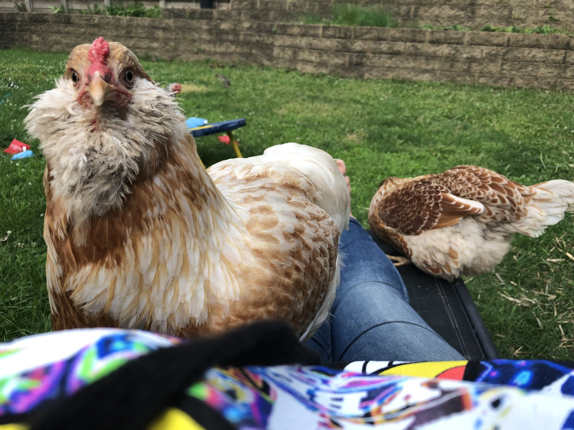 Snuggles & Diamond