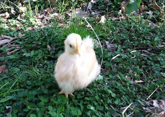 So funny when she runs