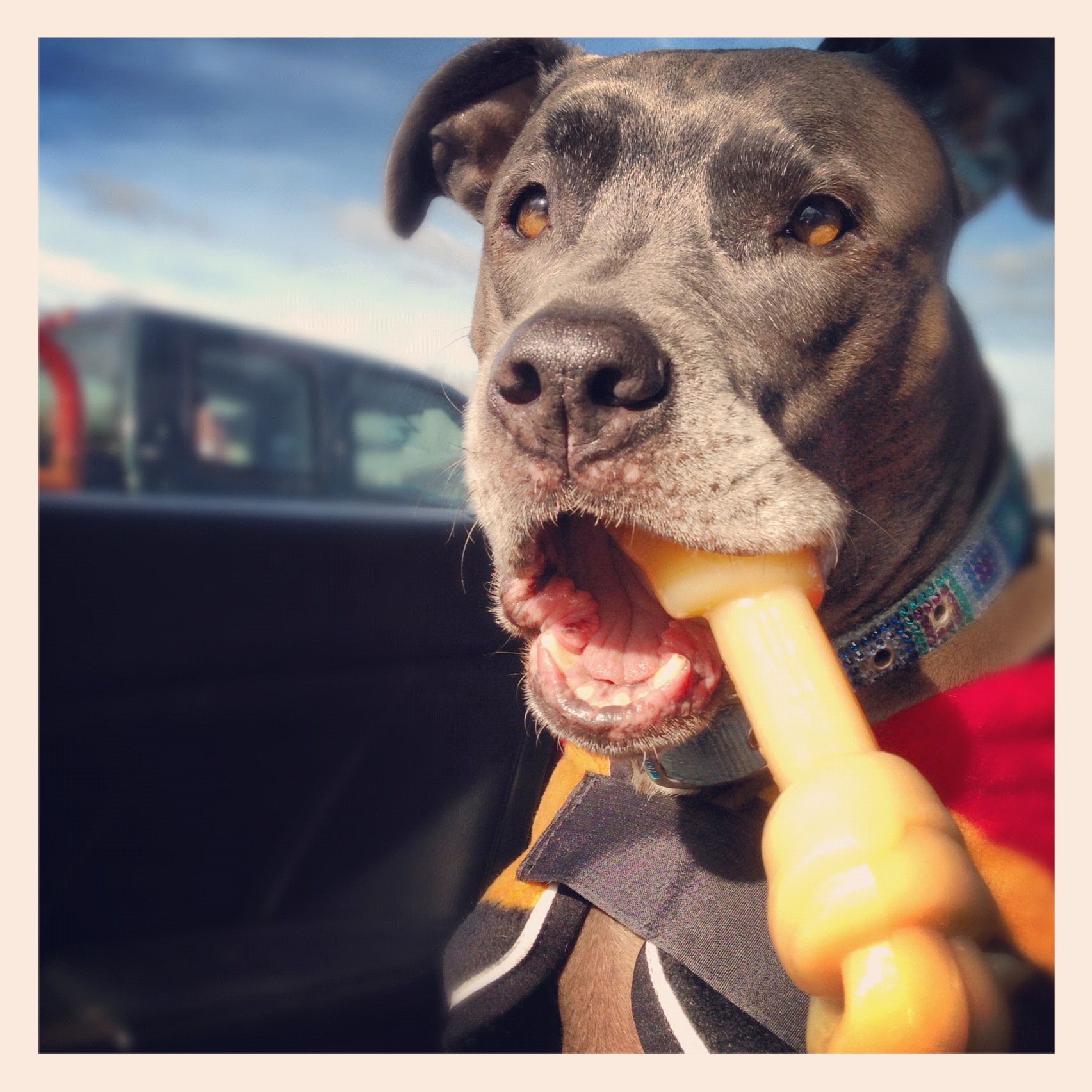 So, I got a new bone today :)