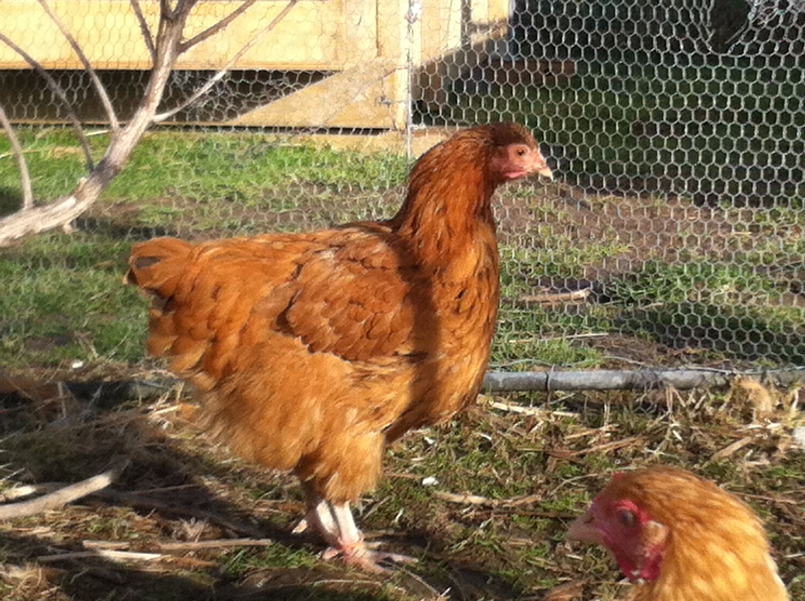 so laid back and placid,