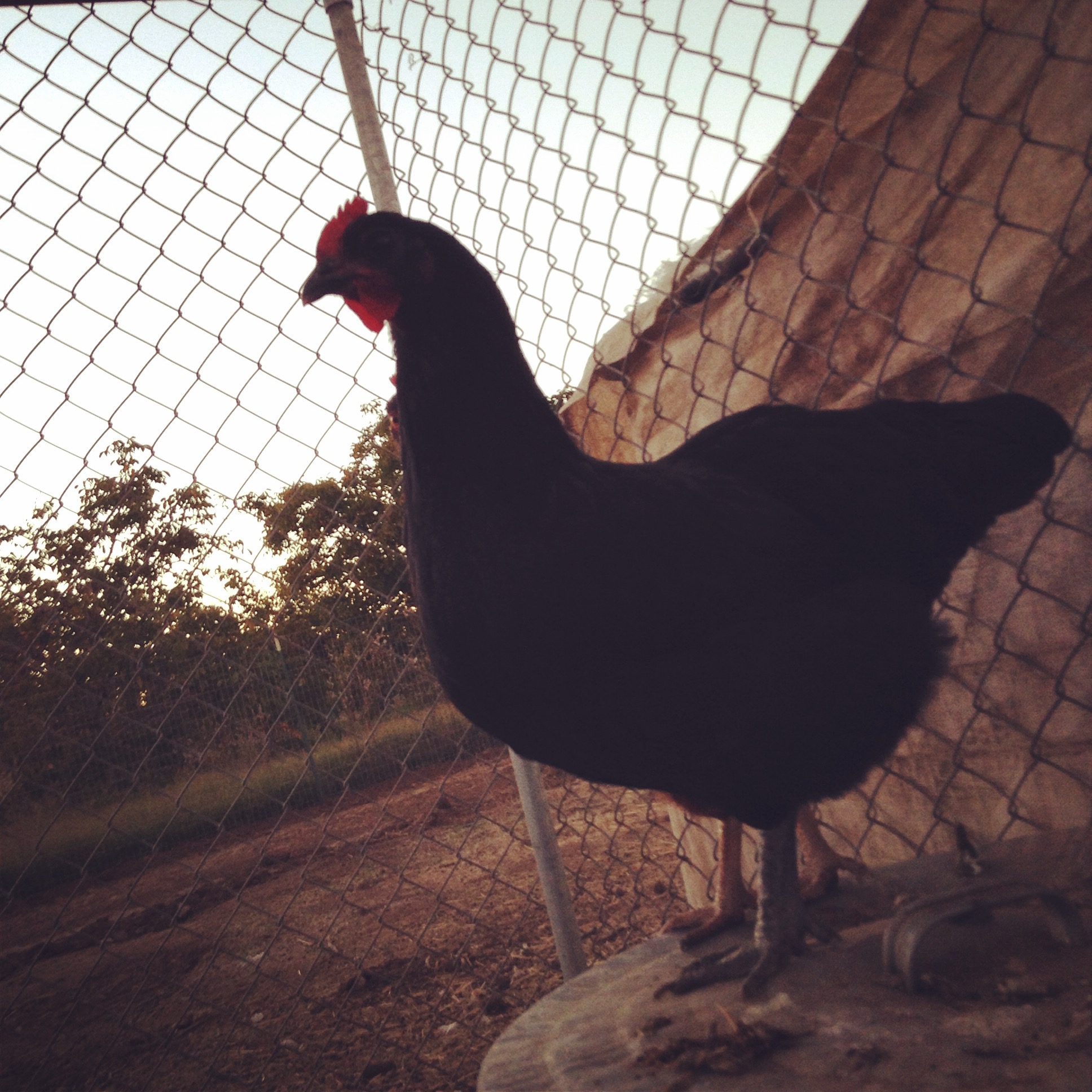 So majestic...