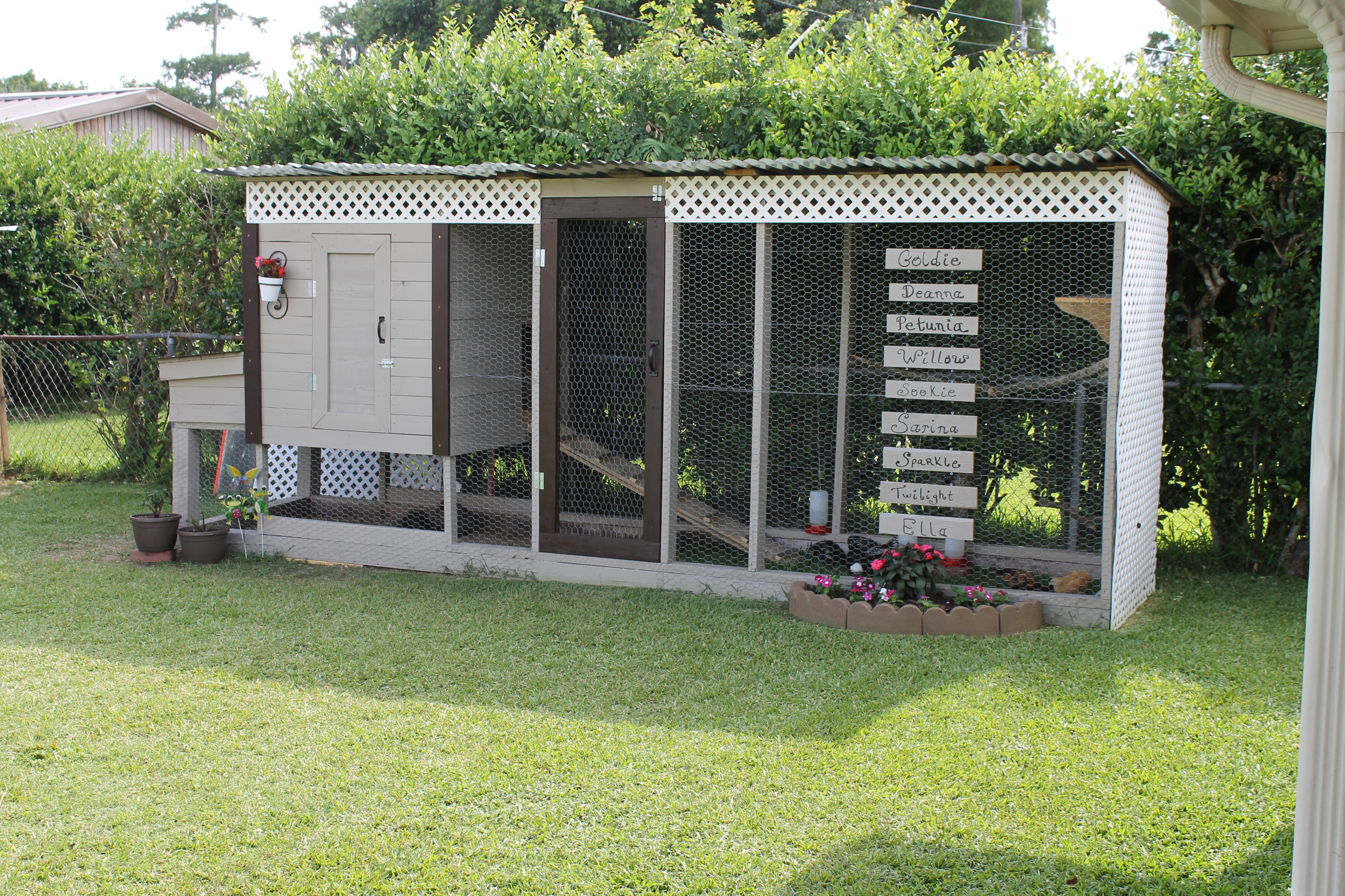 So proud of my hubby for building this coop for my chickies!  He is the Best!