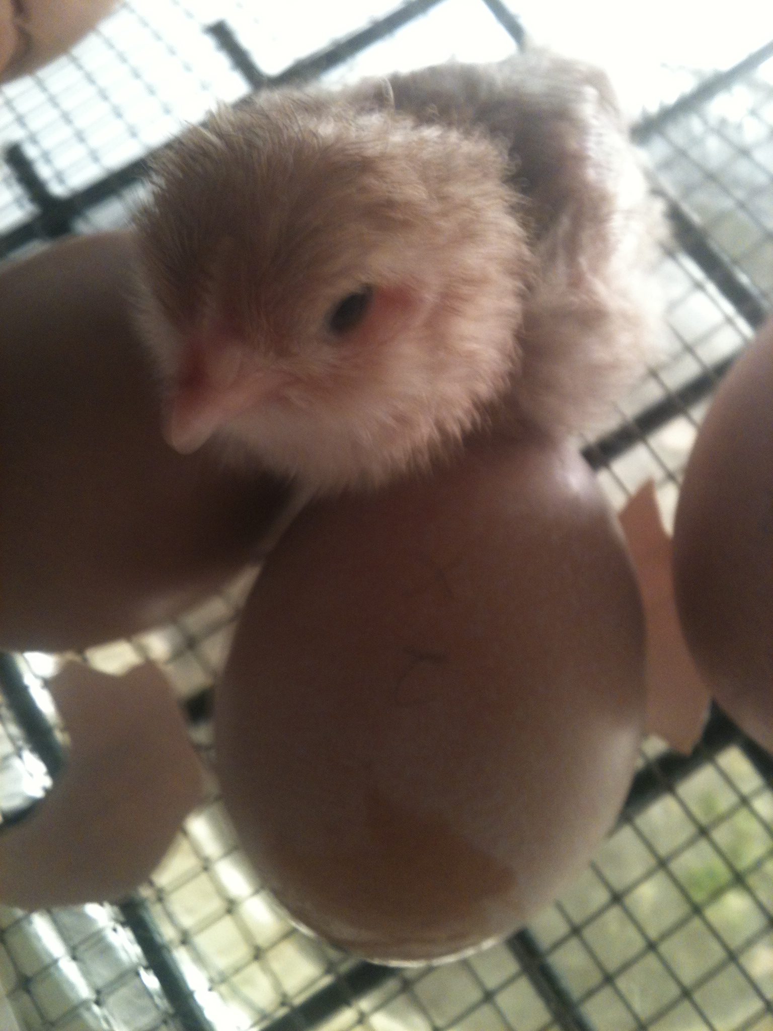 So sweet