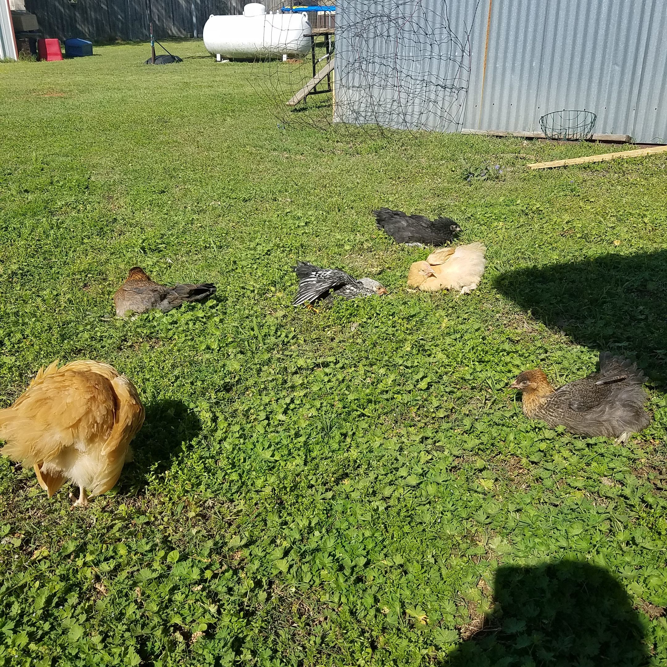 Soaking up the sun..