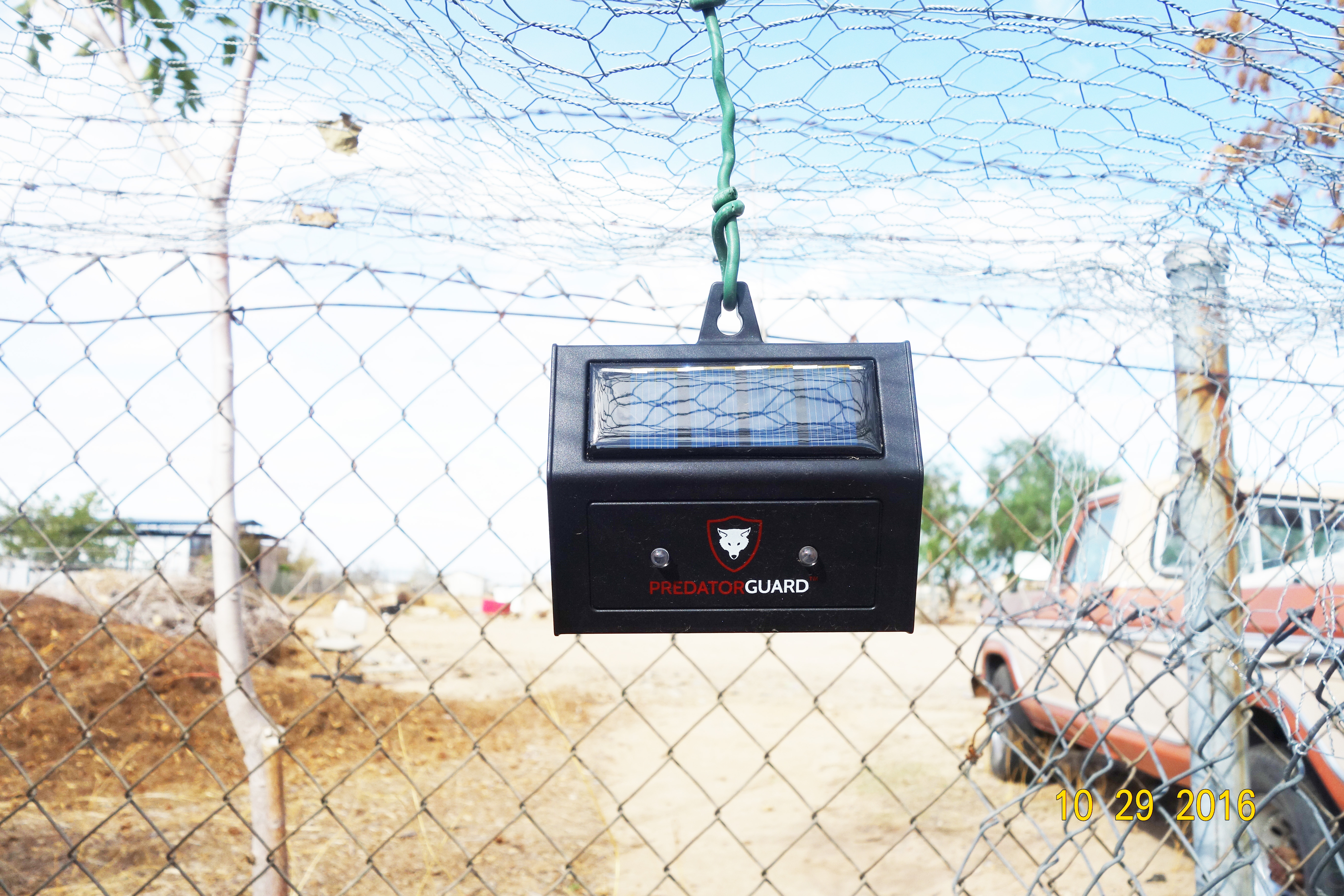 Solar powered Predator guard. Two red LED lights blink at night to scare potential predators.