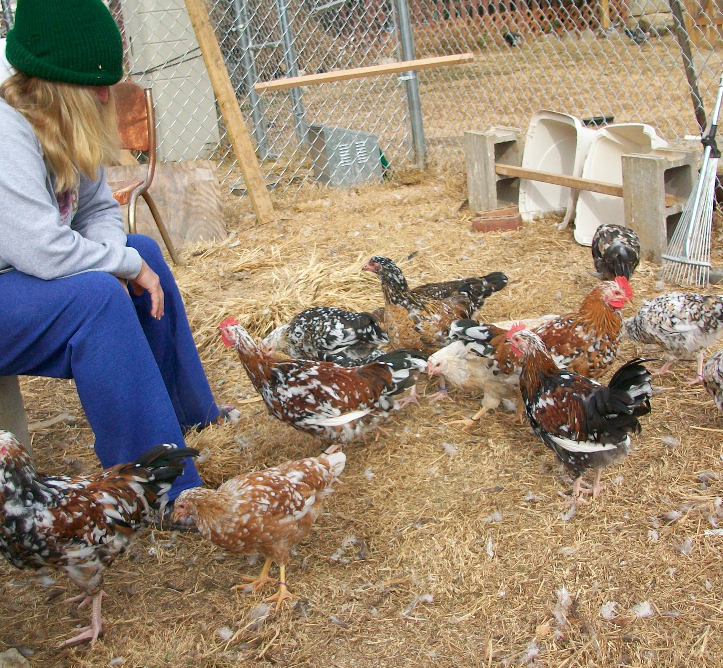 Some Carmela Migliori babies. See the snoleopard on the right side.