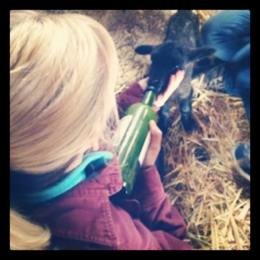 Some more babies needing our help.