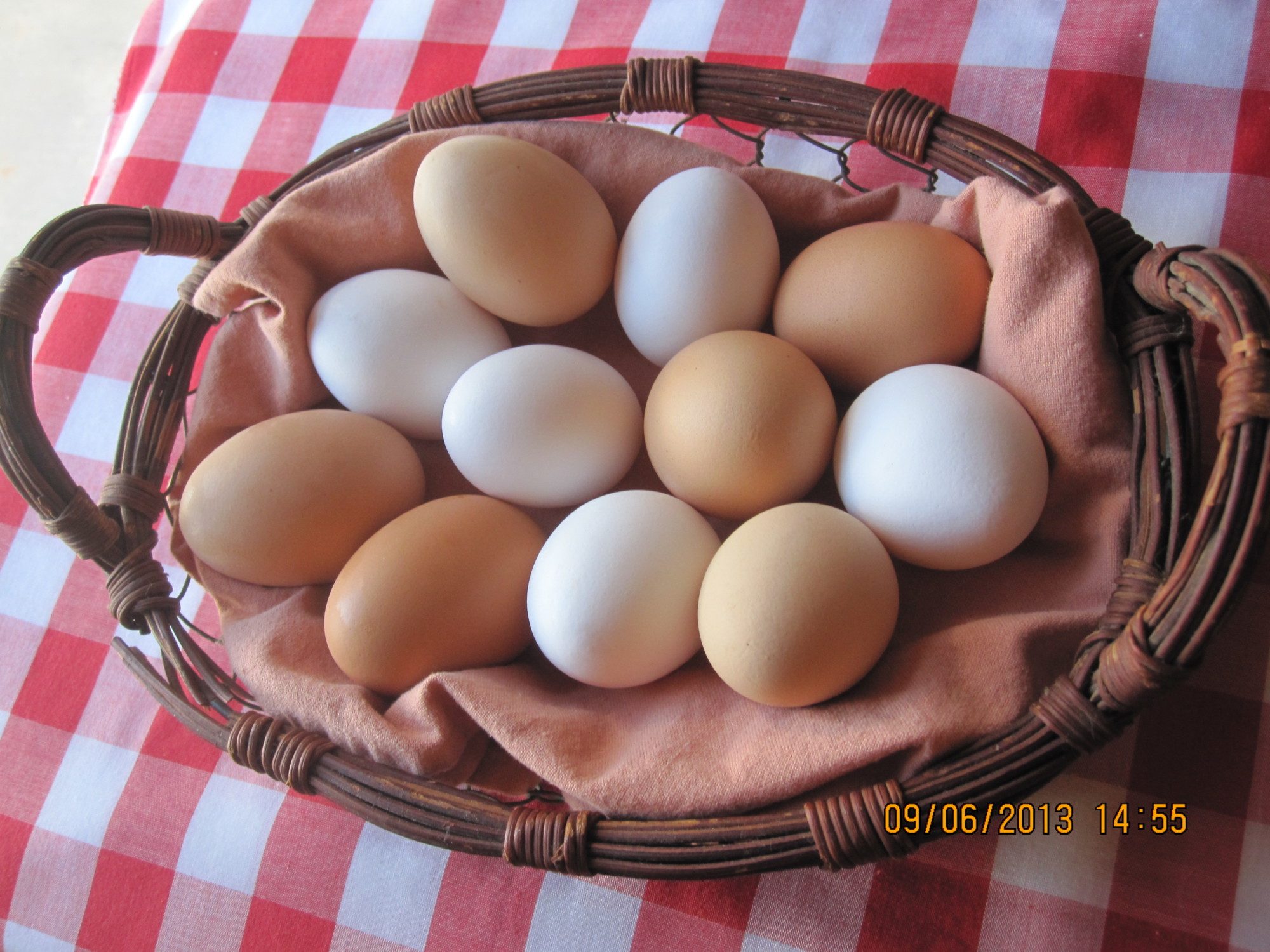 Some of the eggs