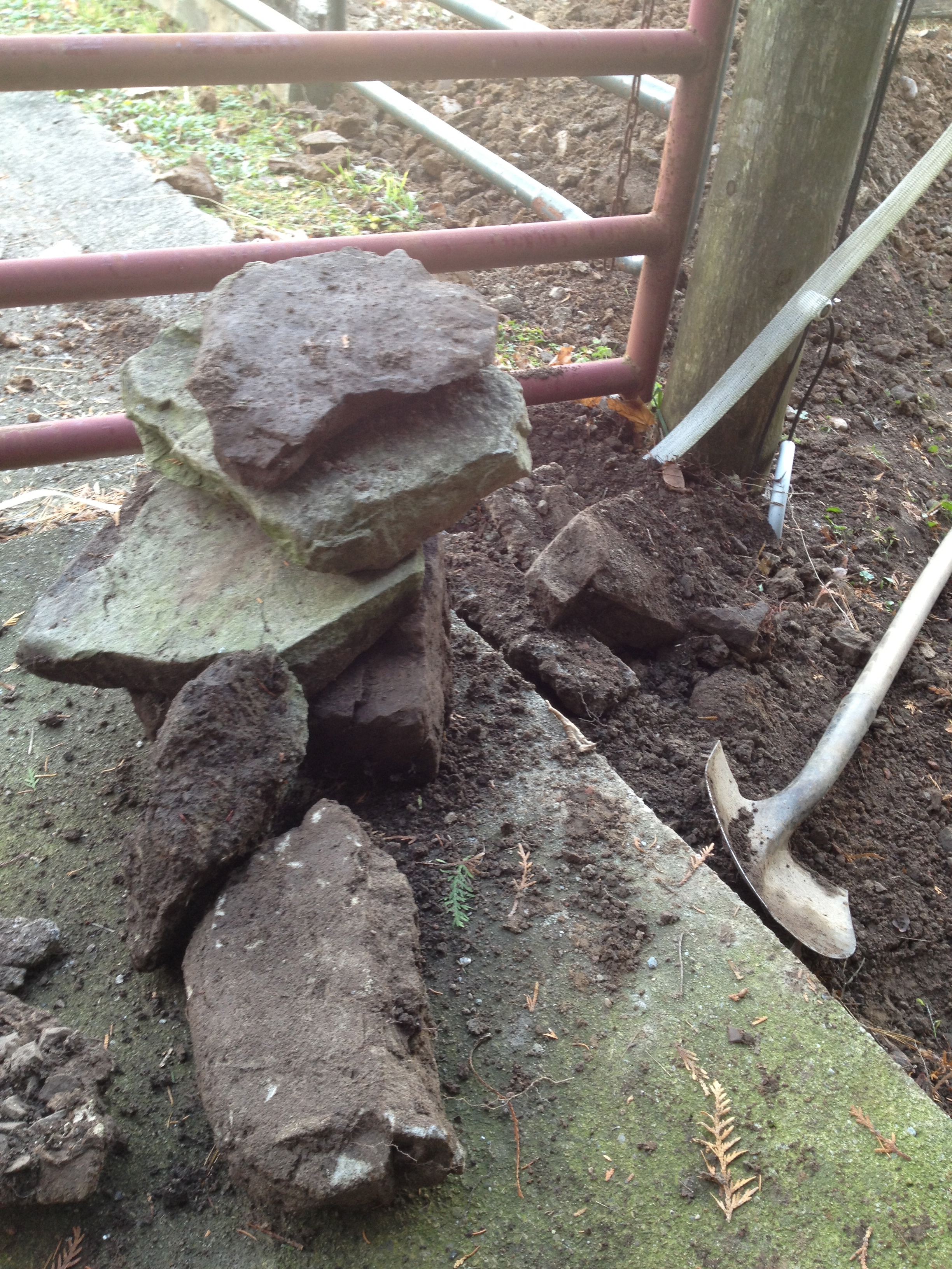some of the rocks I unearthed while digging trench for electrical