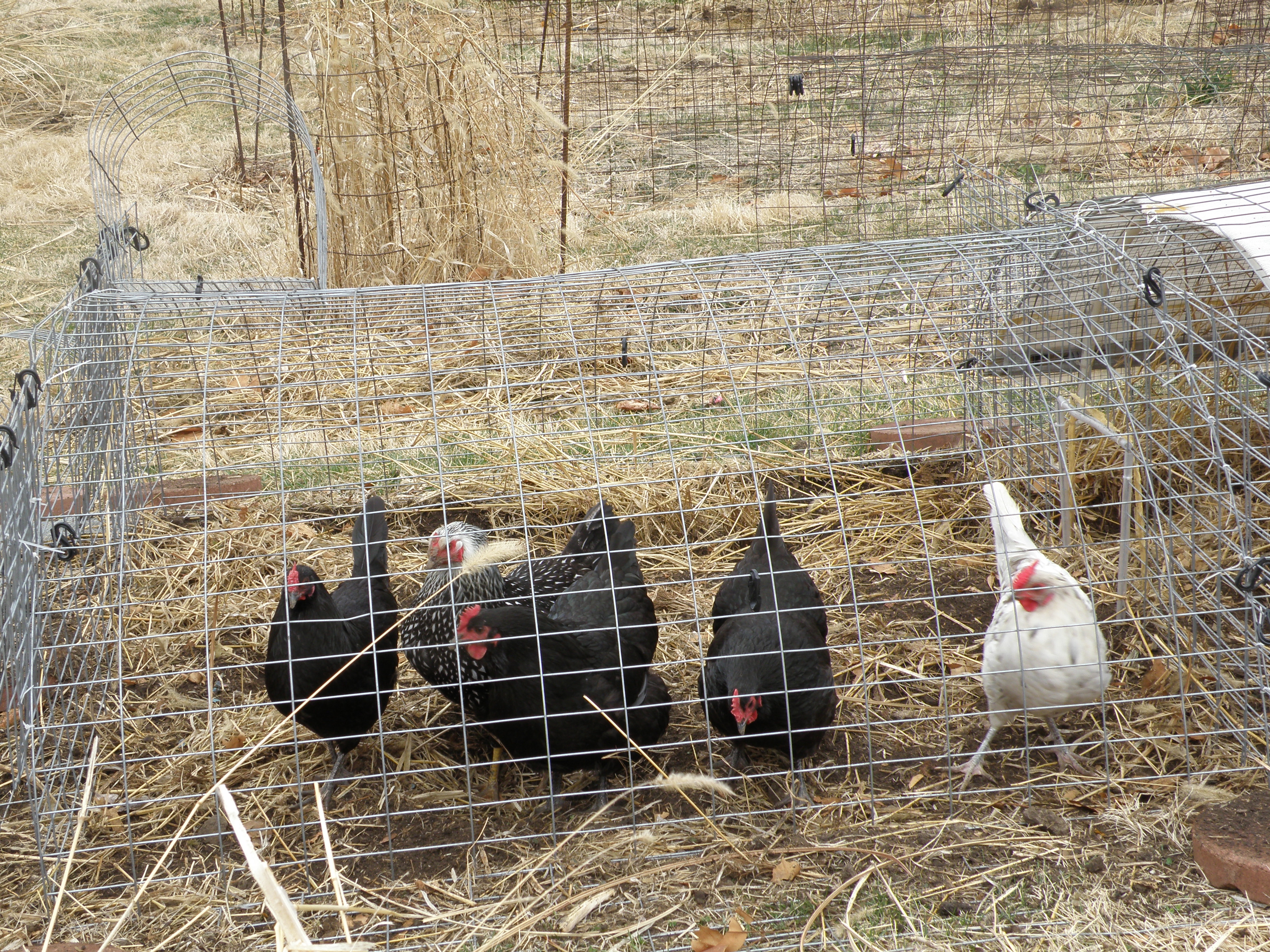 Some of the workers