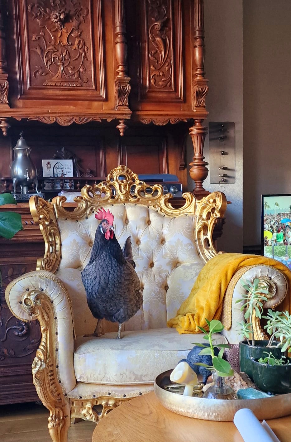 Some Poultry Are Red 45.jpg