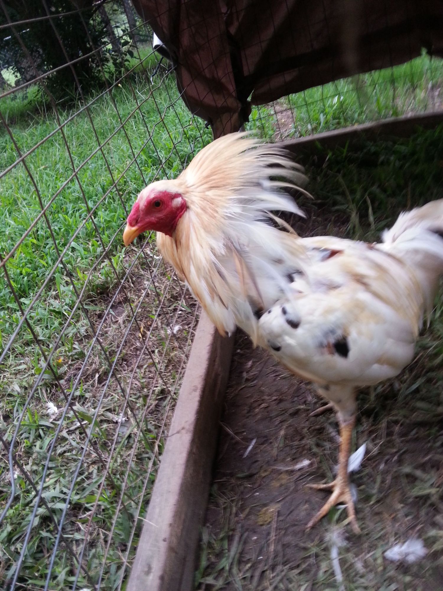 Someone doesn't like photos