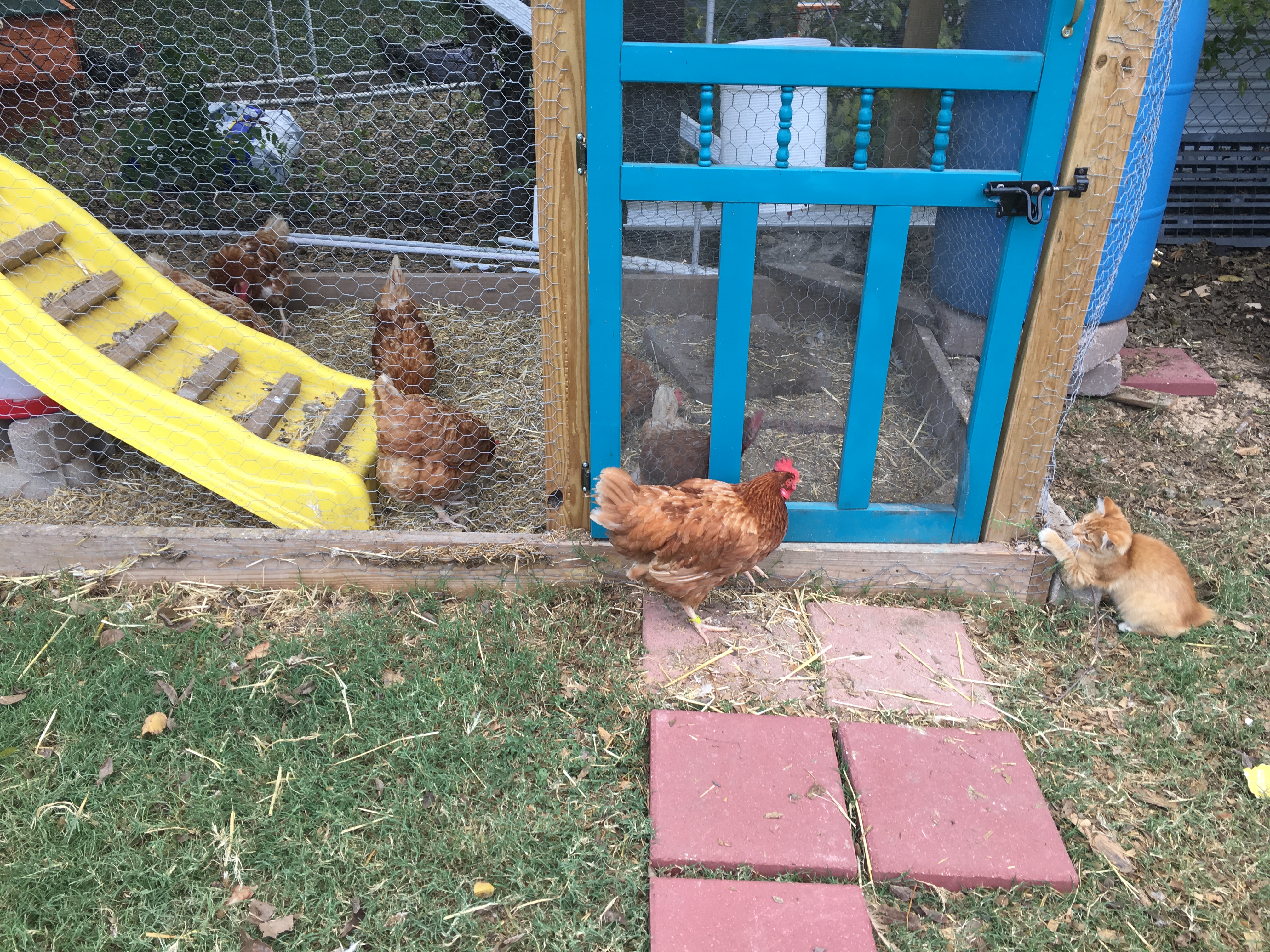 Someone got left out