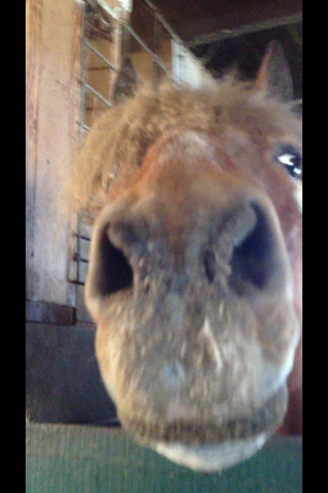 Someone's being... NOSY.