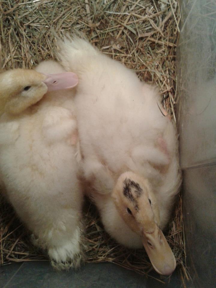 something so small can grow so quickly!