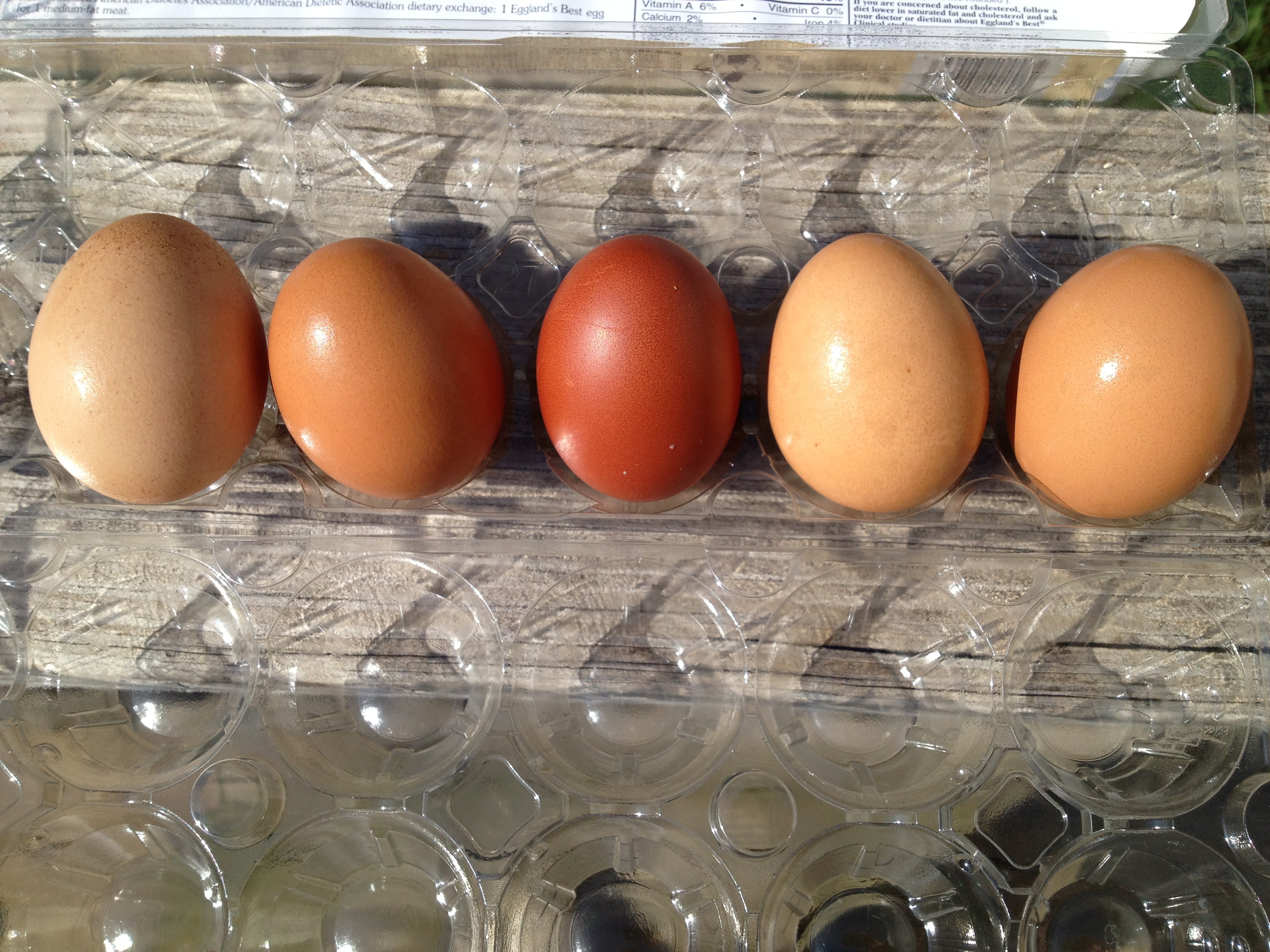 Sophia's first egg center. Large brown store eggs either side