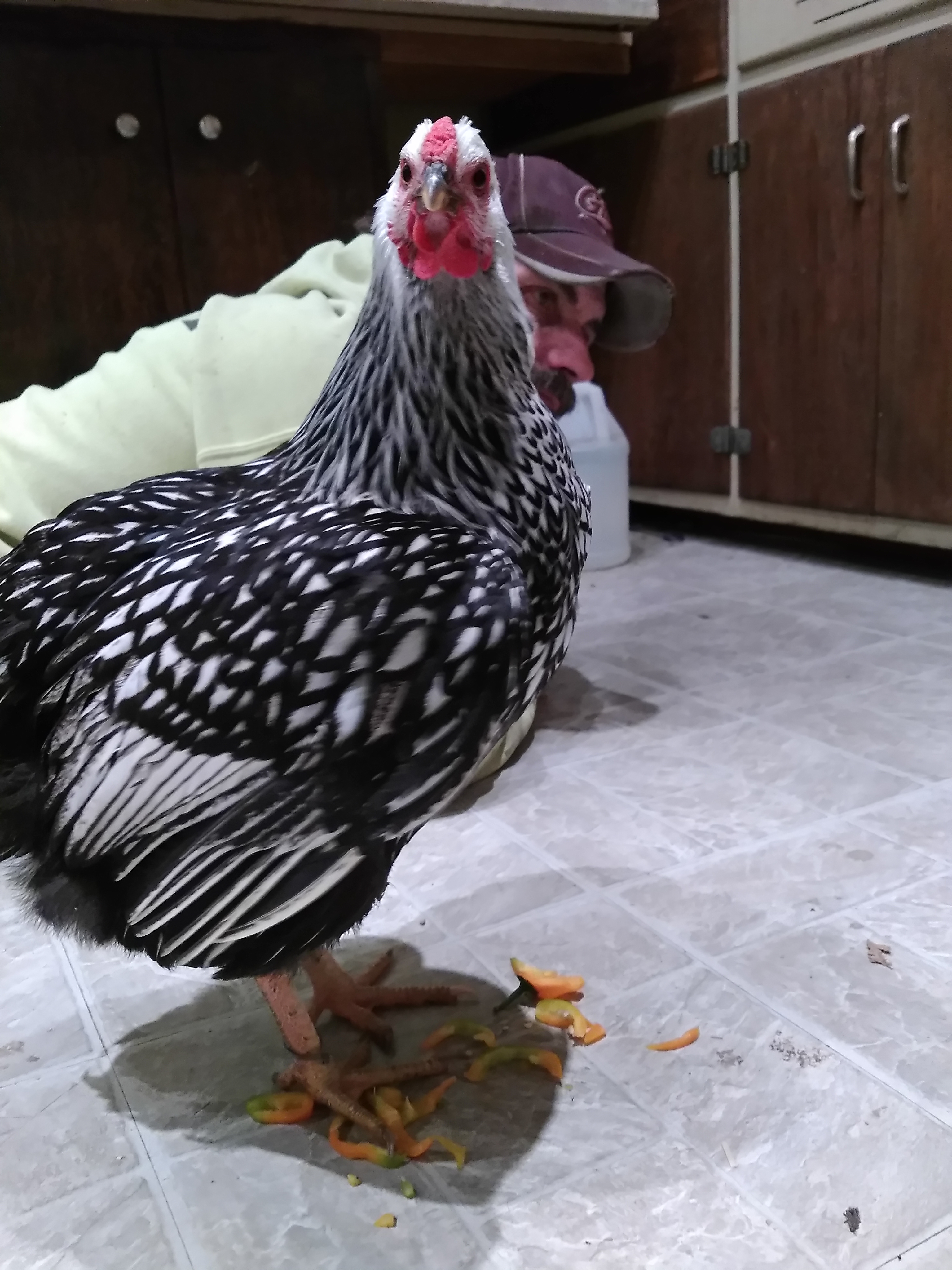 Sophie...but I don't like peppers!