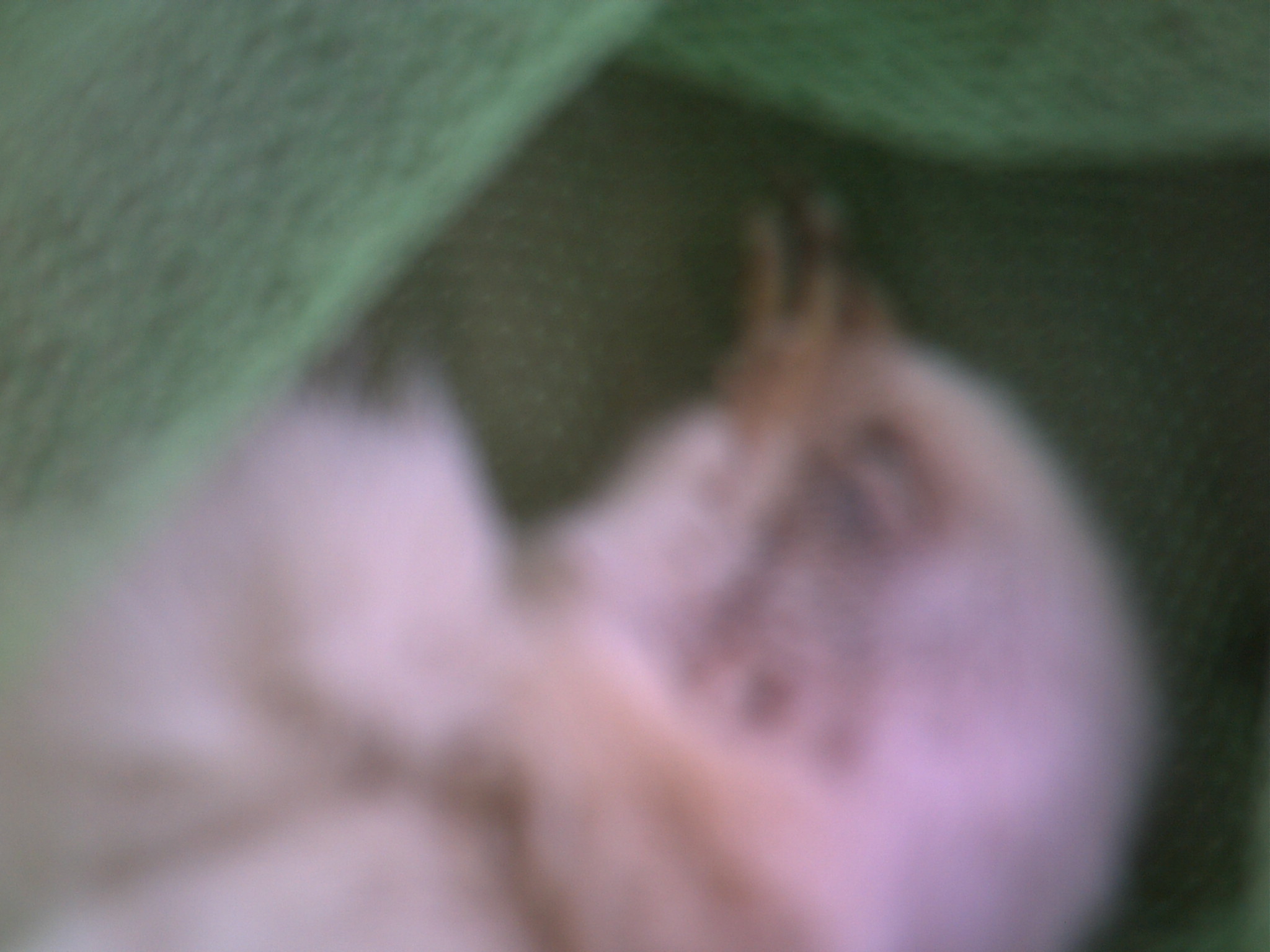 sorry about the pic quality this was as close as i could get without blurring the pic