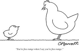Sounds like my chickens!